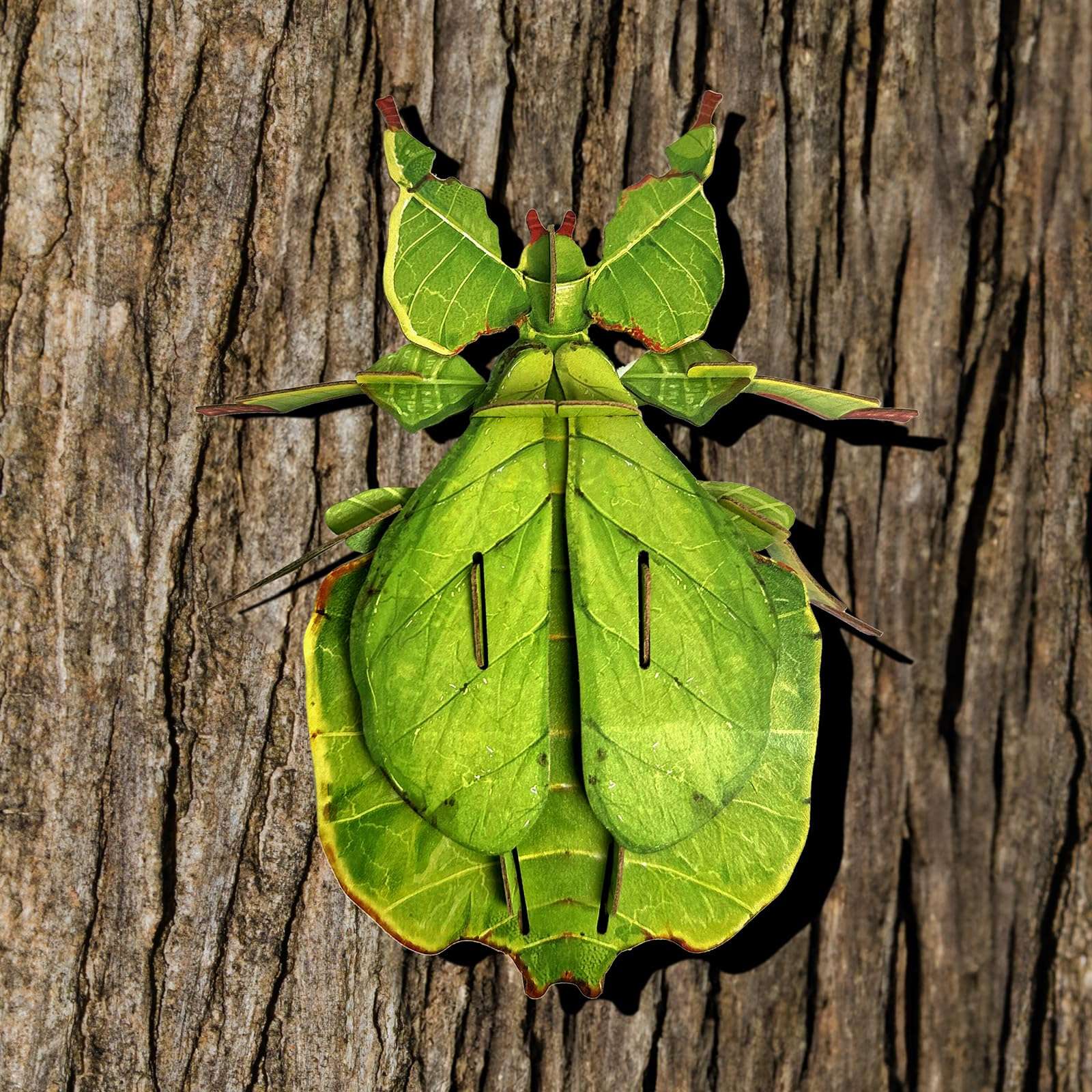 MAKEBUG STEM Toys Eco-Friendly 3D Paper Puzzles, Educational Toys for 7+ Year Old, Preschool Toys for Birthday, Christmas, Holidays(Giant Asian Mantis and Phyllium)…… 4