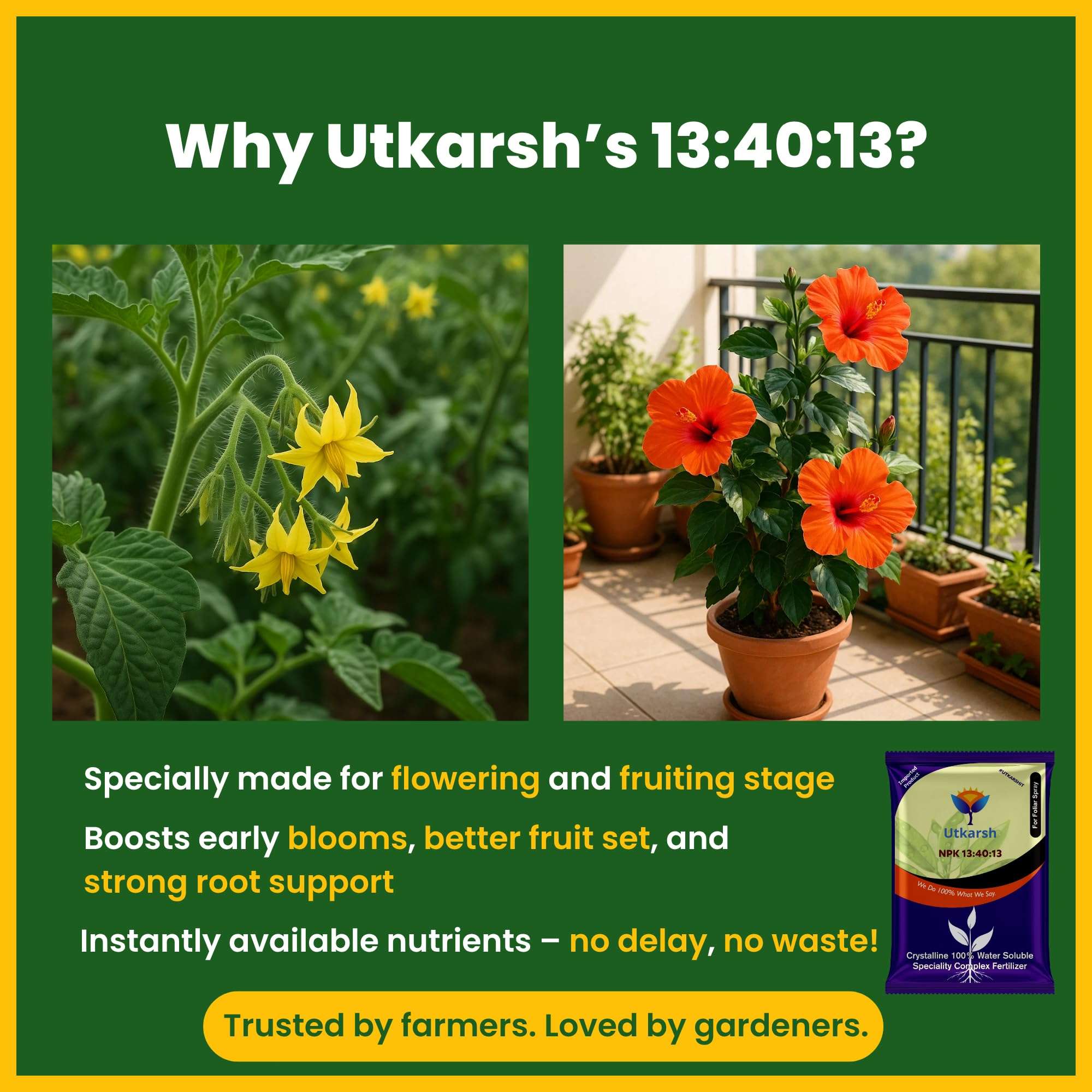 Utkarsh NPK 13 40 13 Fertilizers for Plants | 100% Water Soluble Powder | Complete Plant Food and Nutrition for Healthy Home Garden, Growth Boost for Fruits and Flower (900 gm; Pack of 1) 3