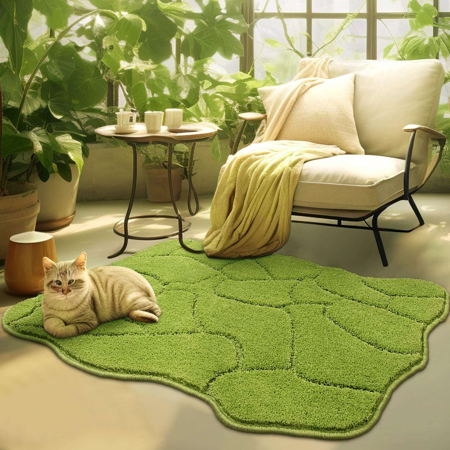 BSICPRO Dog Door Mat for Muddy Paws, 2x3 Highly Soft Absorbent Microfiber Dog Mat and Pet Rug, Non Slip Area Rugs for Living Bedroom Kid Room Machine Washable (Apple Green) 1