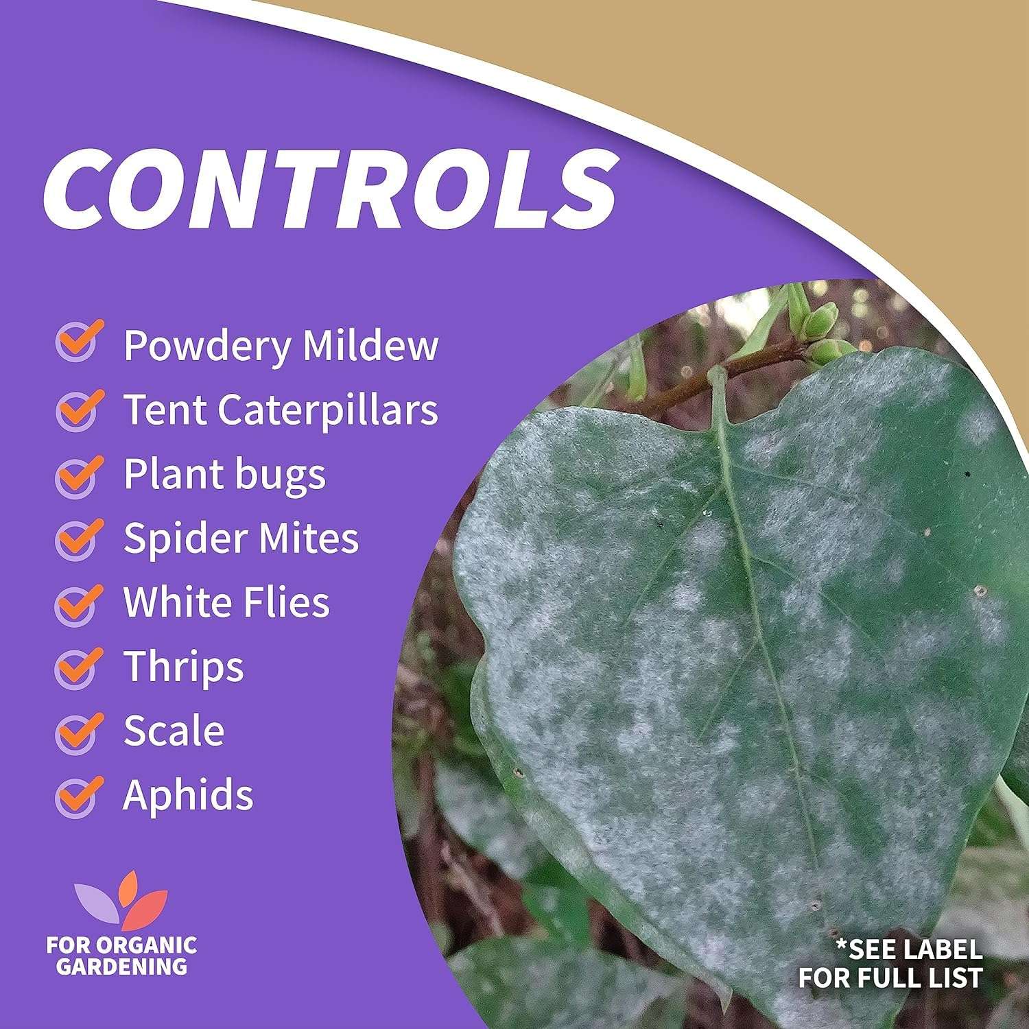 Bonide Insecticidal Soap, 32 oz Ready-to-Use Spray Multi-Purpose Insect Control for Organic Gardening Indoor and Outdoor- Pack of 2 5