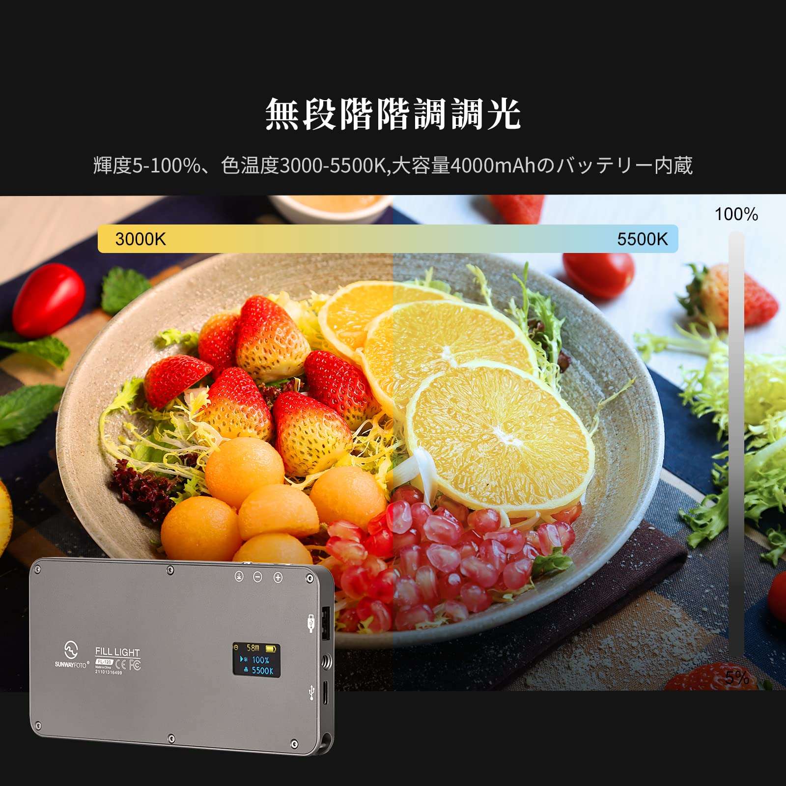 SUNWAYFOTO FL-120 LED Studio Video Light Kit for Camera Video Photography 3000-5500k Bi-Color Portable Panel 4