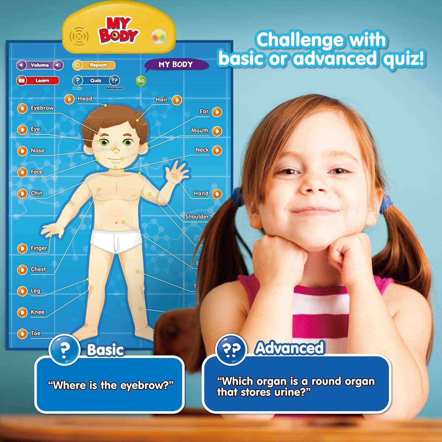 BEST LEARNING i-Poster My Body – Interactive Educational Human Anatomy Talking Toy for Kids Ages 5-12 to Learn Body Parts, Organs, Muscles and Bones Through Fun Sound and Quiz Modes 4