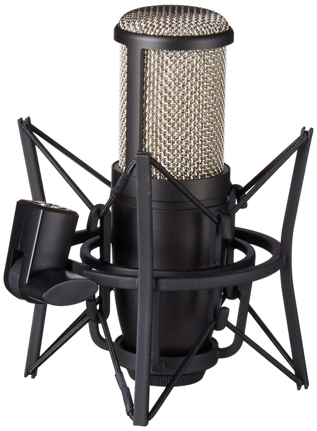AKG Pro Audio Pro Audio Perception 220 Professional Studio Microphone