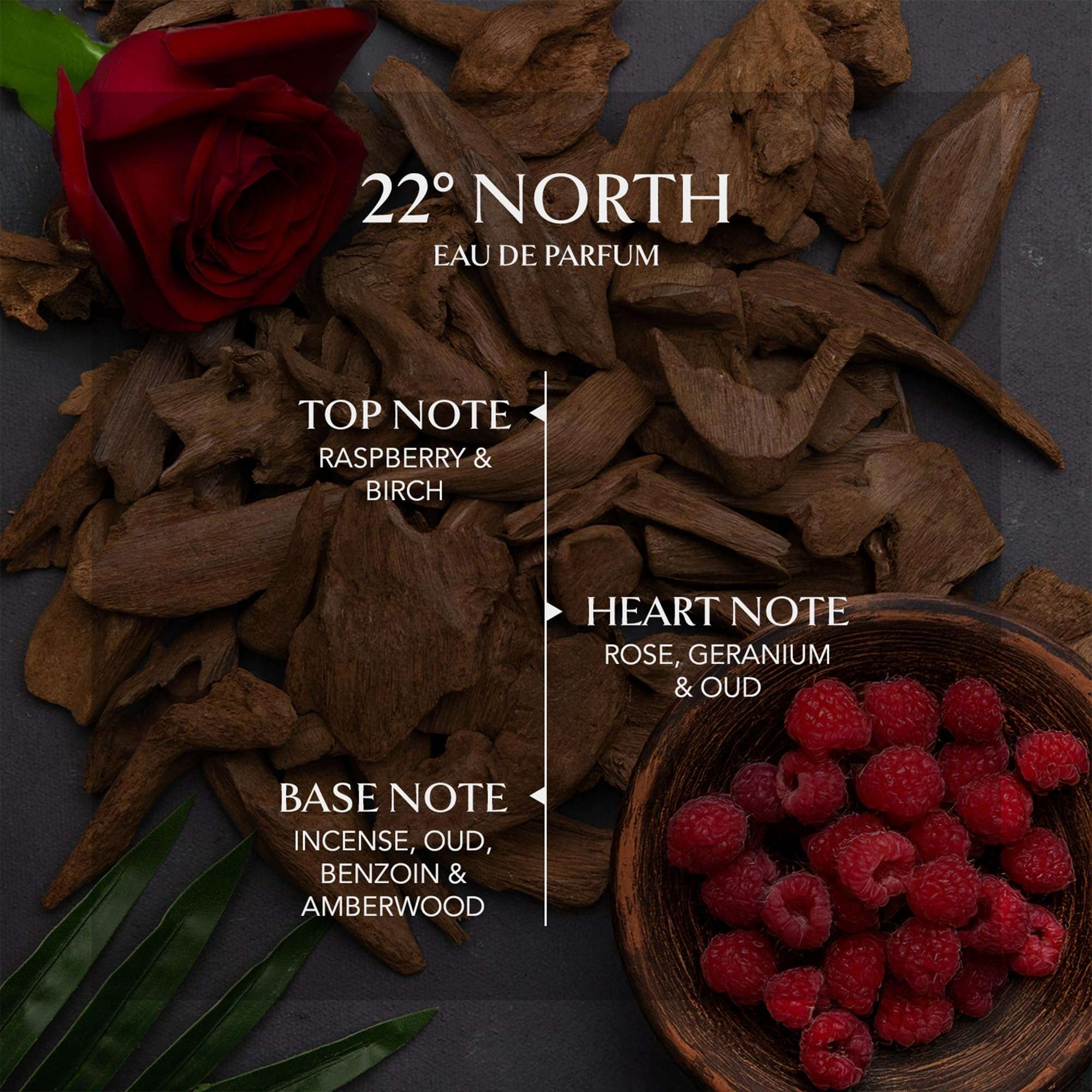 EMBAROUGE 22° North EDP Perfume for Man and Woman | Long Lasting | Woody Oud Scent | Geranium, Oud, Incense | Middle Eastern Luxury Fragrance |100ml 5