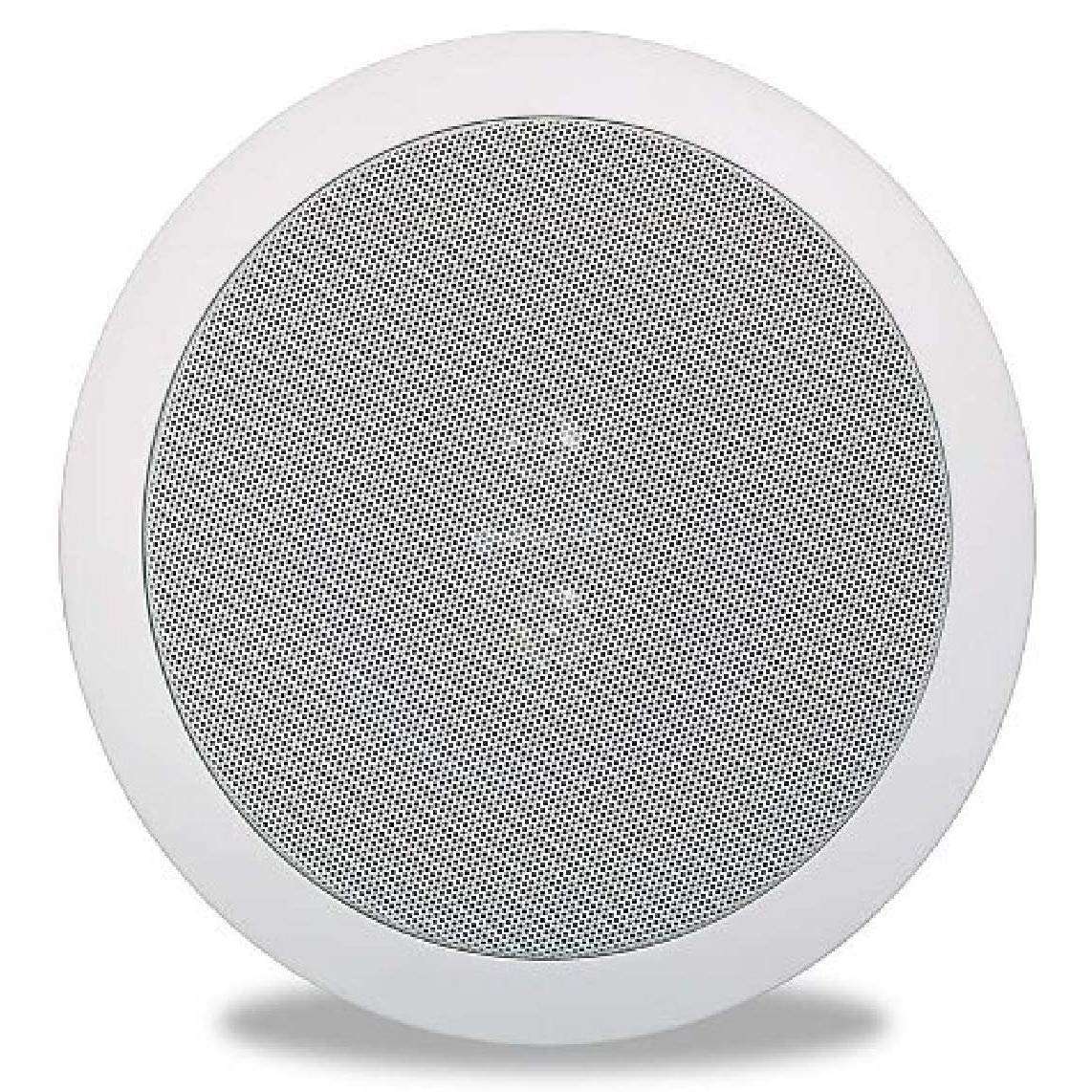 Polk Audio RC6s in-Ceiling 6.5" Stereo-Speaker | Dual Channel from a Single Location & Atrium 8 SDI Flagship Outdoor Speaker (White) 3