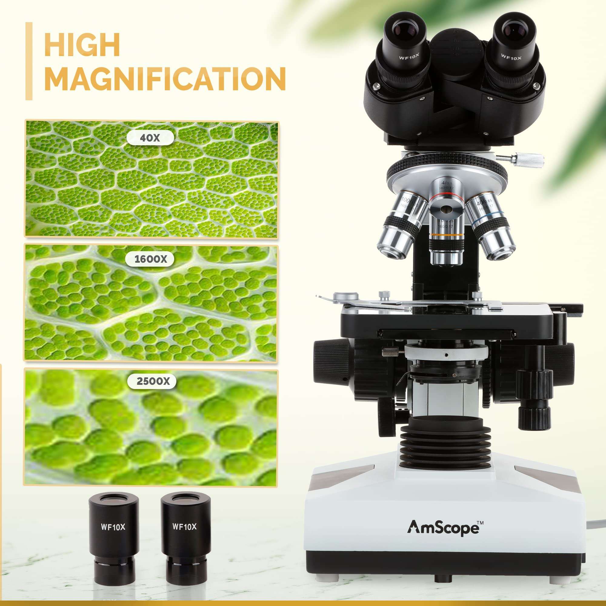 AmScope B490A-DK Compound Binocular Microscope, WF10x and WF16x Eyepieces, 40X-1600X Magnification, Brightfield/Darkfield (BF/DF), Halogen Illumination, Abbe Condenser, Double-Layer Mechanical Stage, Sliding Head, High-Resolution Optics, Anti-Mold 5