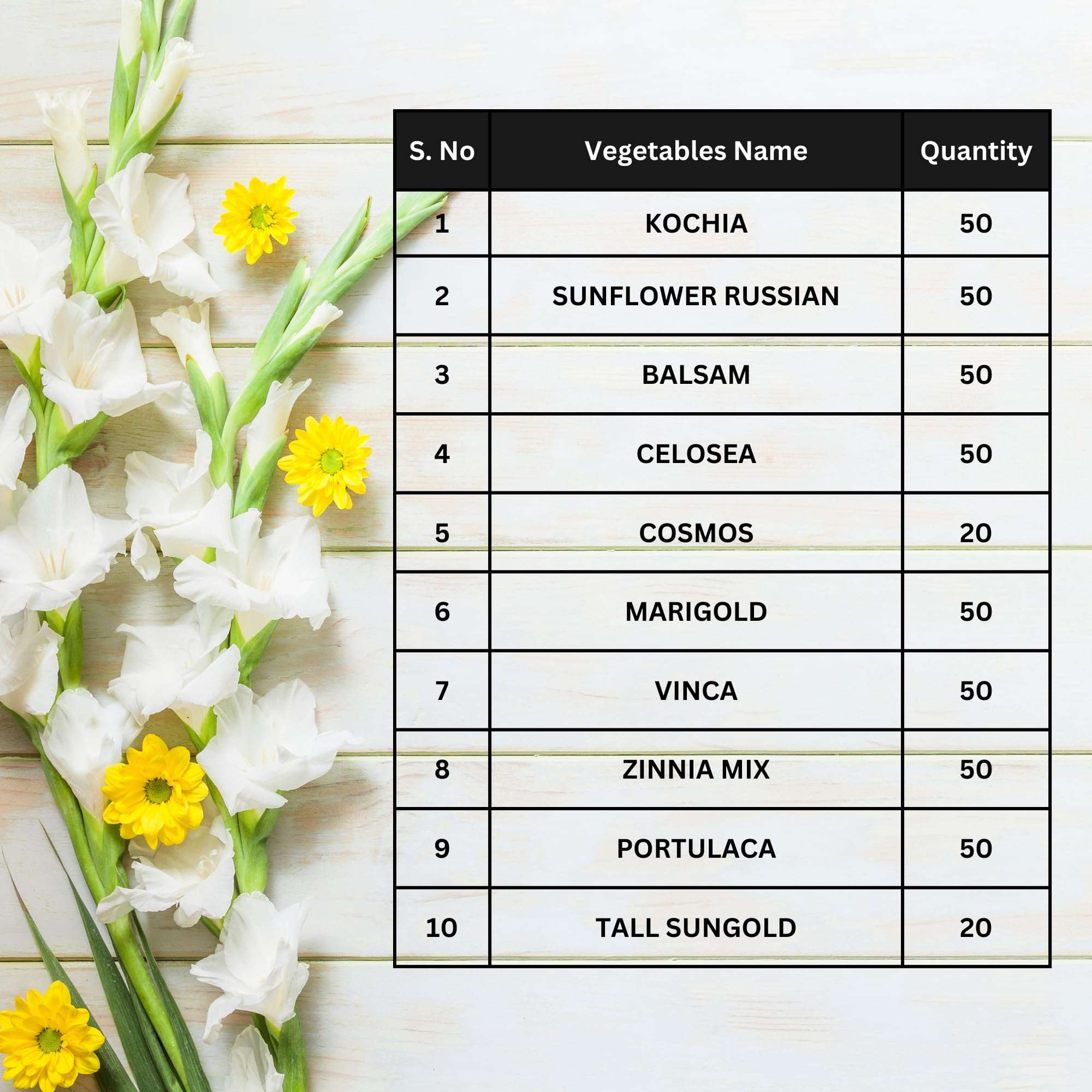 Navika Seeds Combo Pack of 10 Flower Seeds for Summer for Your Home Garden | Summer | Sutaible for Indian Season | All-Season Varieties | Free Growing Guide Included | 3