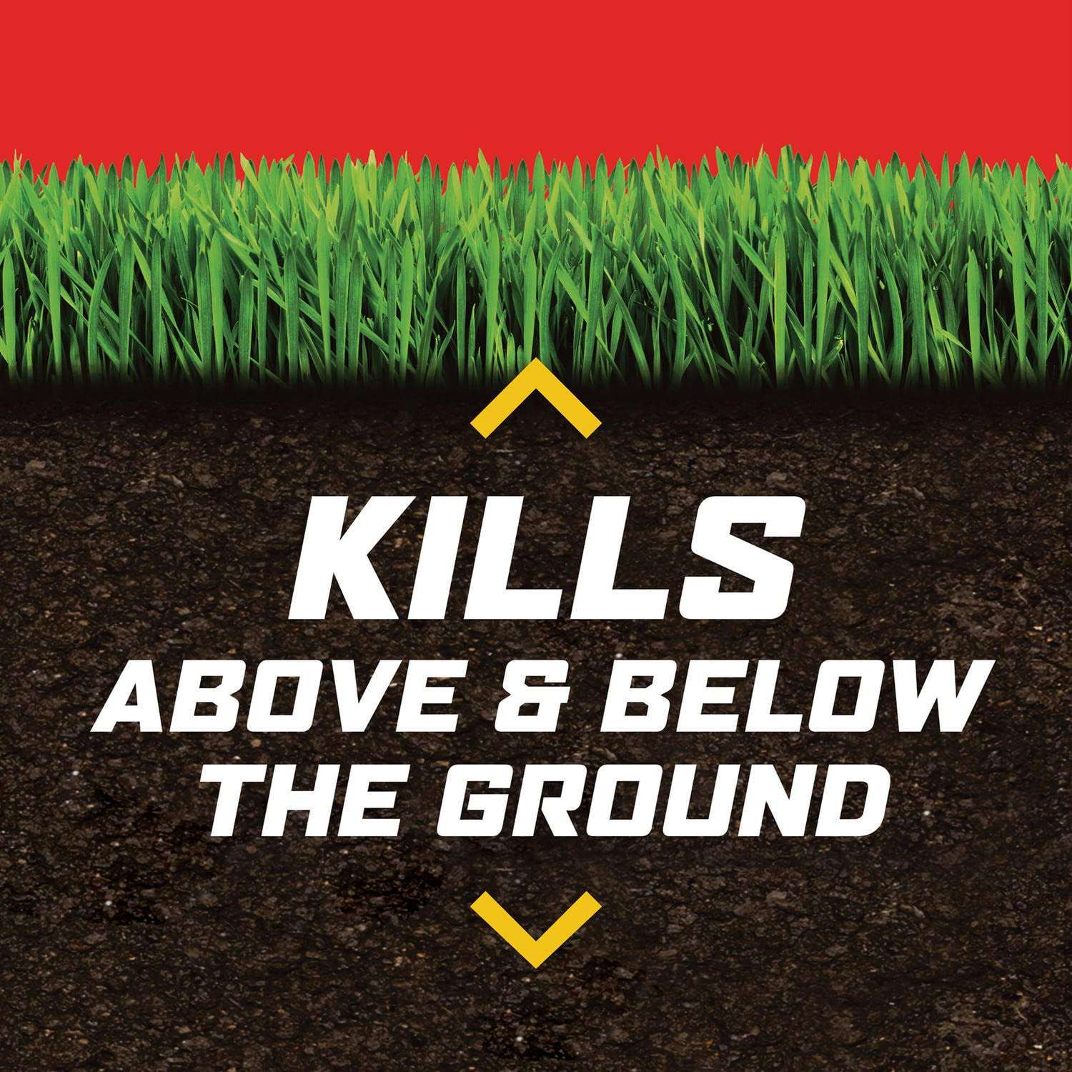 Ortho Lawn Insect Killer Granules: Treats up to 20,000 sq. ft., For Yard, Garden & Landscapes, Works on Listed Ants, Spiders, Fleas & Ticks, 20 lbs. 6