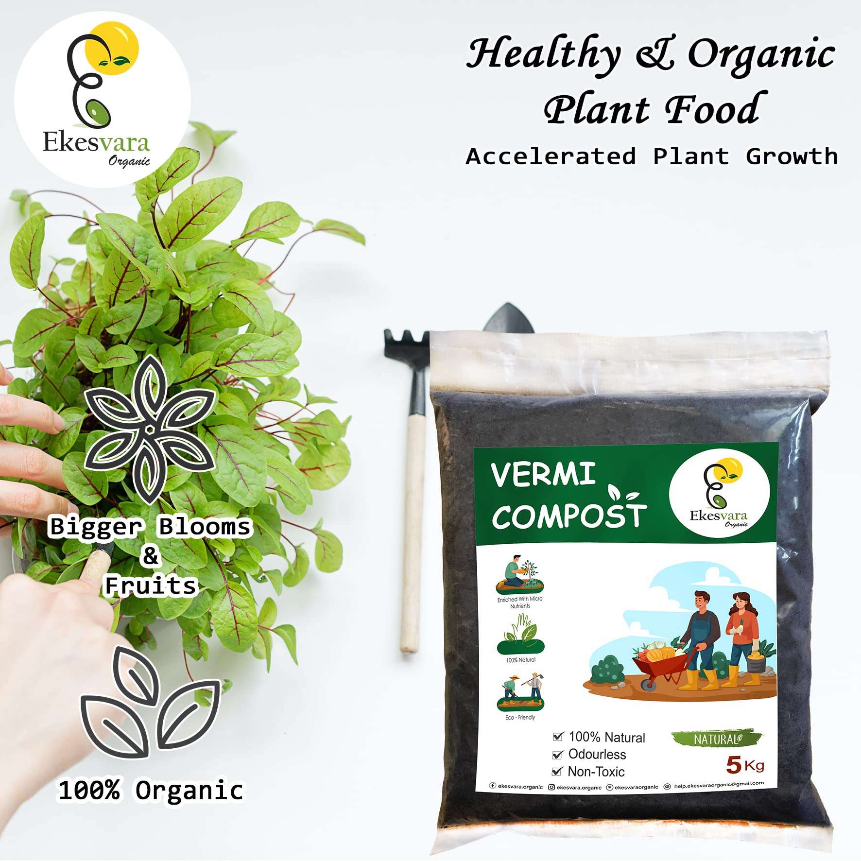 Ekesvara Organic Vermicompost Fertilizer Manure for Plants - 5 KG 3
