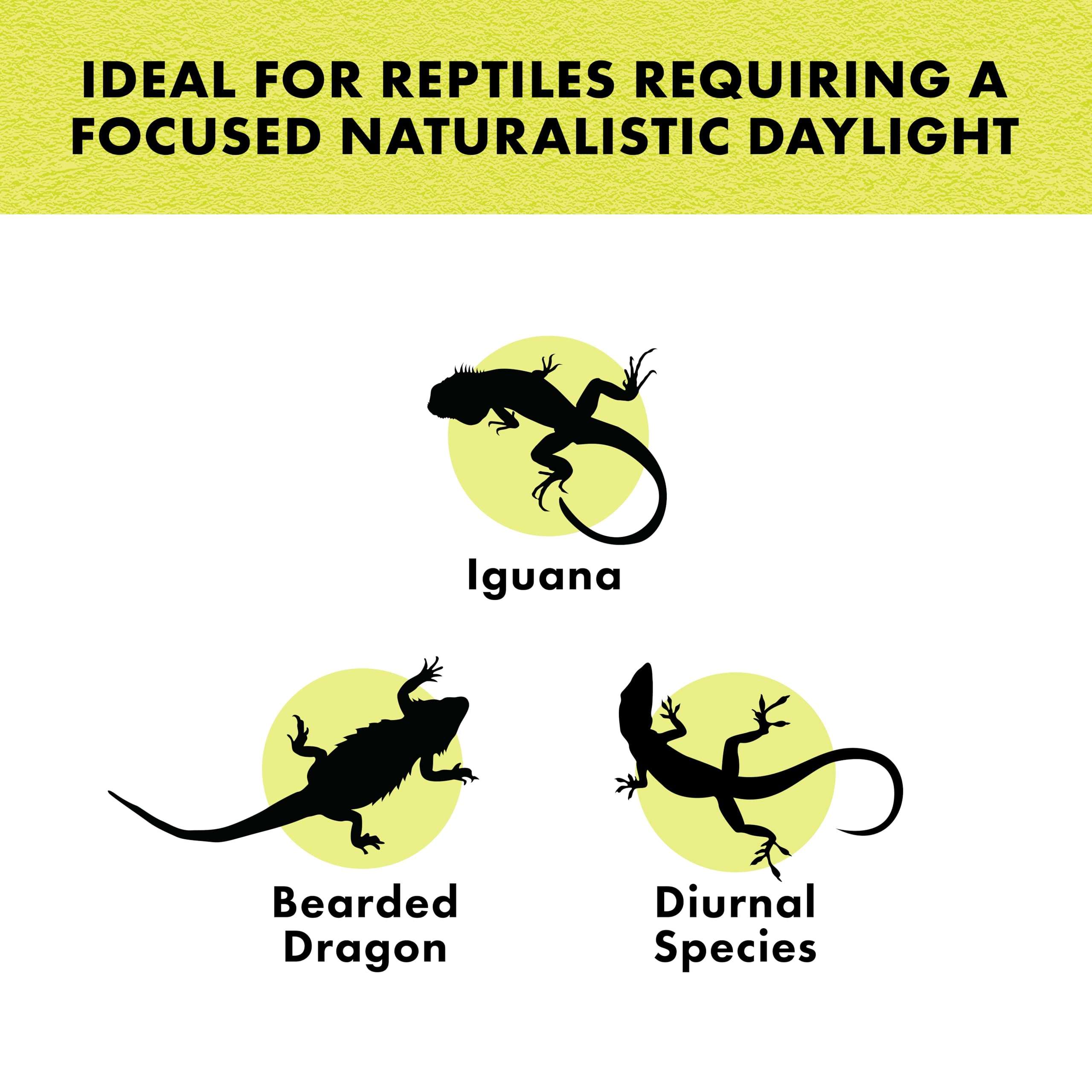 Zilla Incandescent Spot Bulbs Day White 100 Watts 4