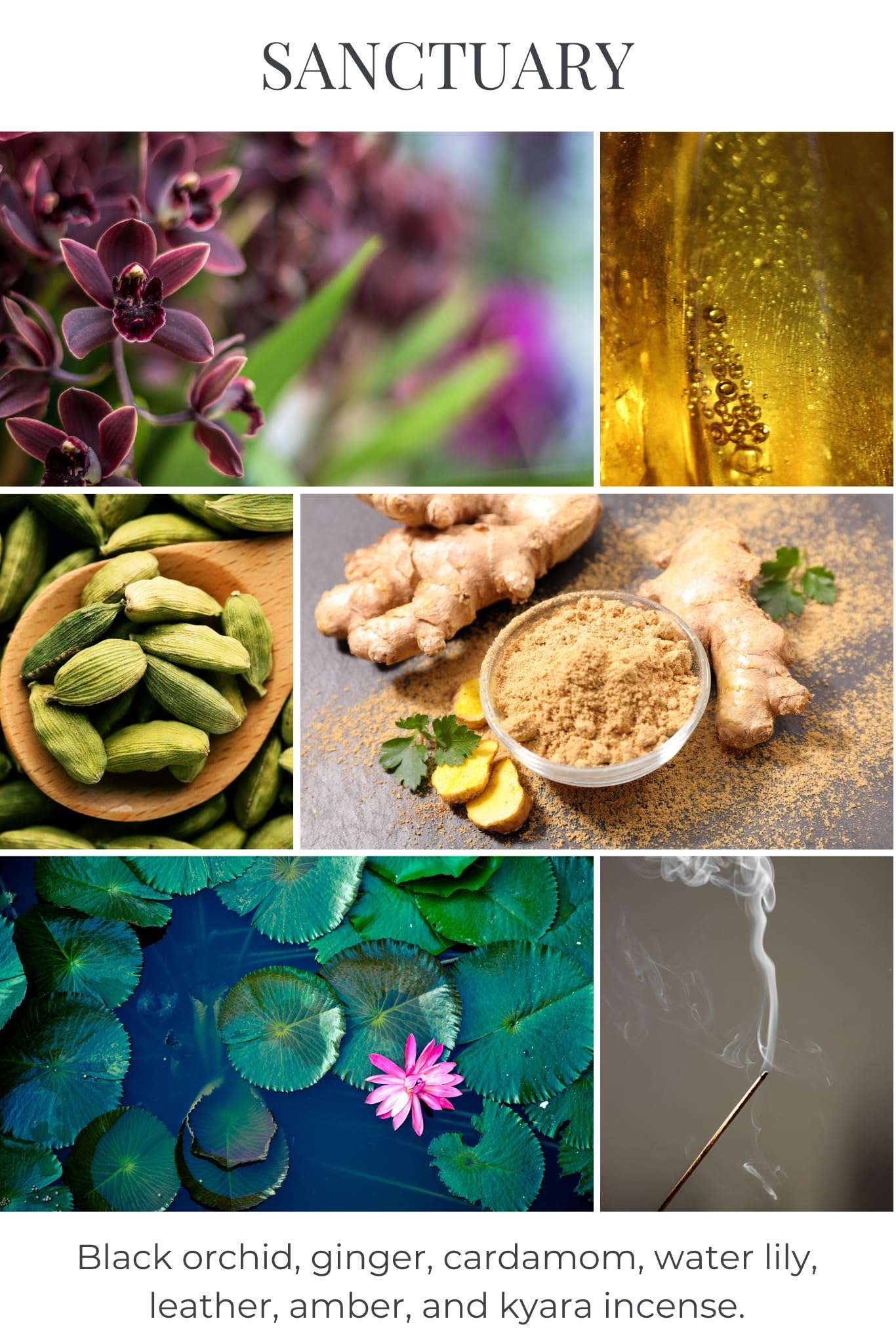 Eco Candle Co. Recycled Candle, Sanctuary, 6 oz. - 100% Soy Wax, No Lead, Kraft Paper Label & Lid, Hand Poured, Phthalate Free, Made from Midwest Grown Soybeans, All Natural Wicks 3