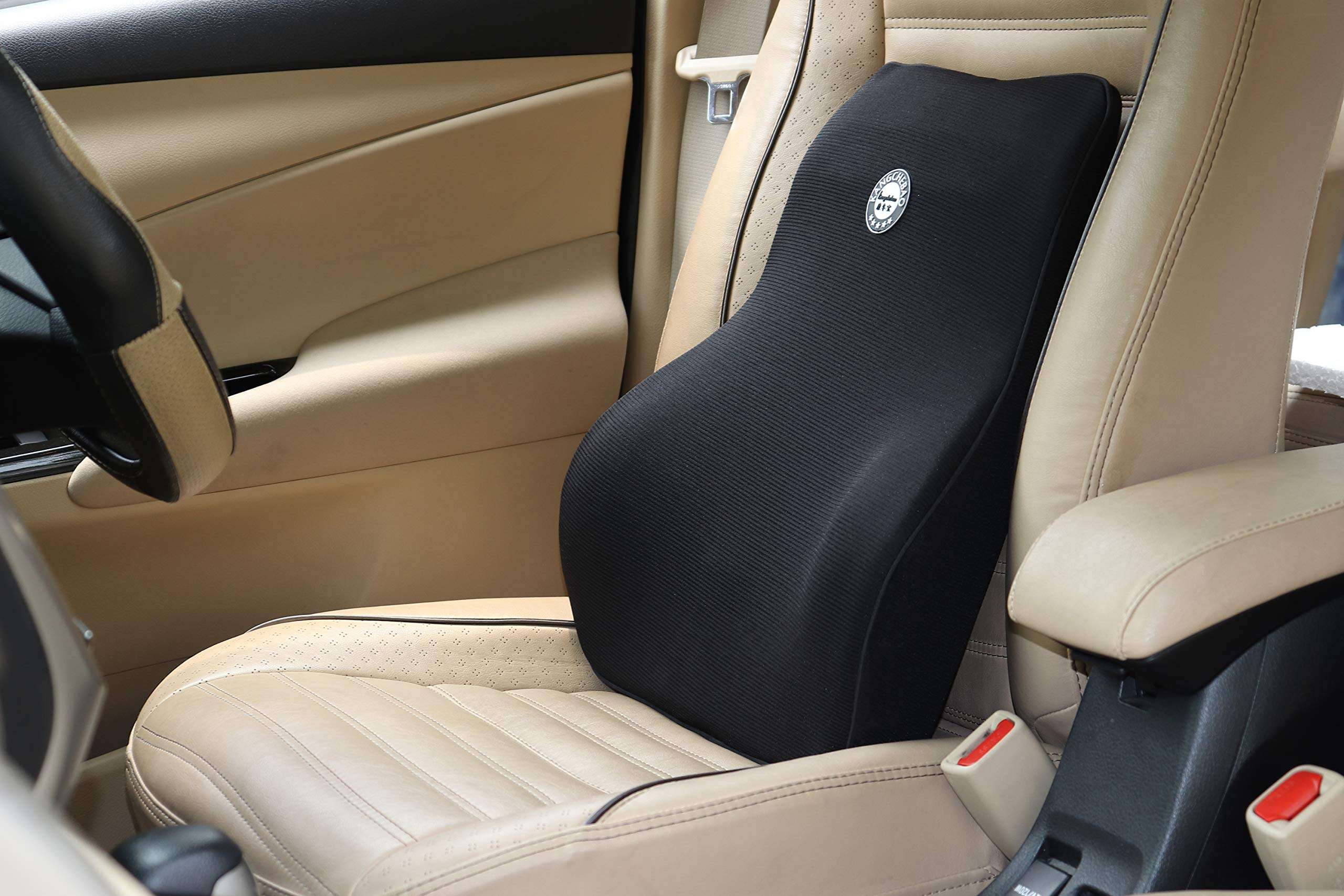 Oshotto Air Fabric Lumbar Support for Office Chair | Back Pillow for Car | Memory Foam Orthopedic Cushion - Provides Low Back Support (Black)