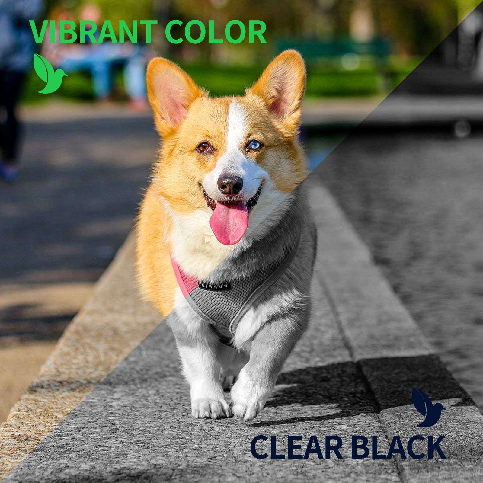 Inkworld Remanufactured 63XL Replacement for HP 63 Ink Cartridge for Envy 4520 3634 OfficeJet 3830 5252 4650 5258 4655 4652 5255 DeskJet 3636 1111 3630 1112 Printers (1 Black 1 Color) 2