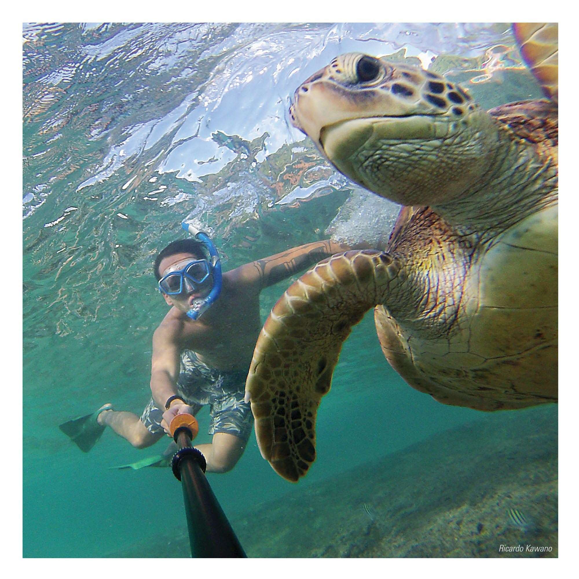 Underwater Kinetics UK Pro POLE8, 8 inches, Orange 6