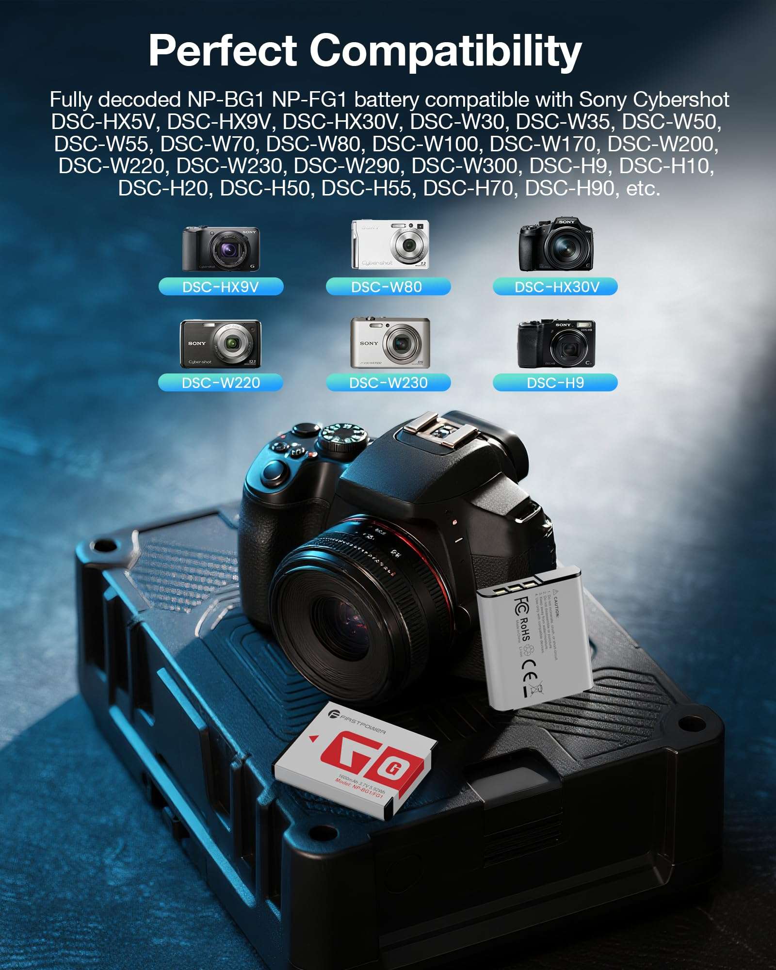 FirstPower NP-BG1 Battery 2 Pack and 2-Channel Battery Charger for Sony NP-BG1 NP-FG1, Cyber-Shot DSC-H3 H7 H9 H10 H20 H50 H55 H70 HX5V HX7V HX9V HX10V HX30V W30 W50 W55 W70 W80 W120 W150 W220 W230 3