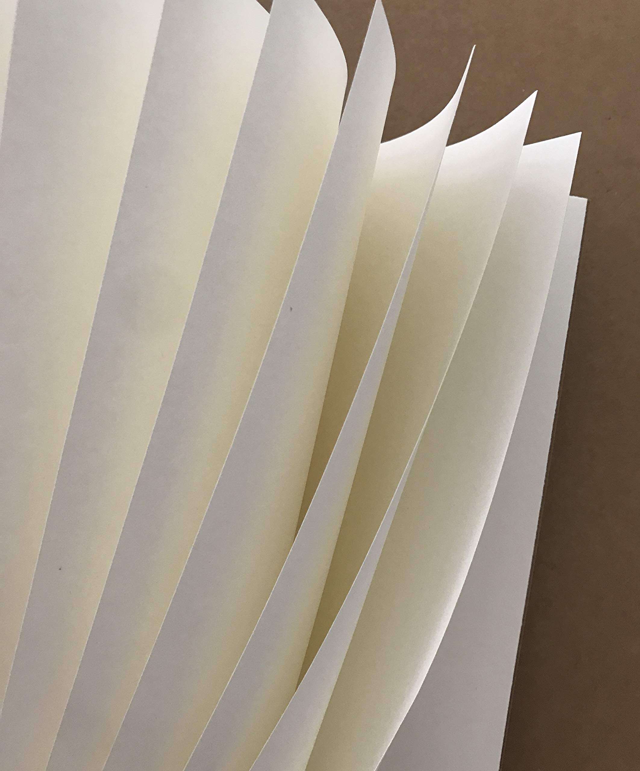 AccuPrints A5 Pack of 2 Craft Notebook, 80 leaf 160 Pages,Blank or Unruled | Travel Writing Notebook,Journal,Notepad,Sketchbook|For Students,Office College Spiral Diary 6