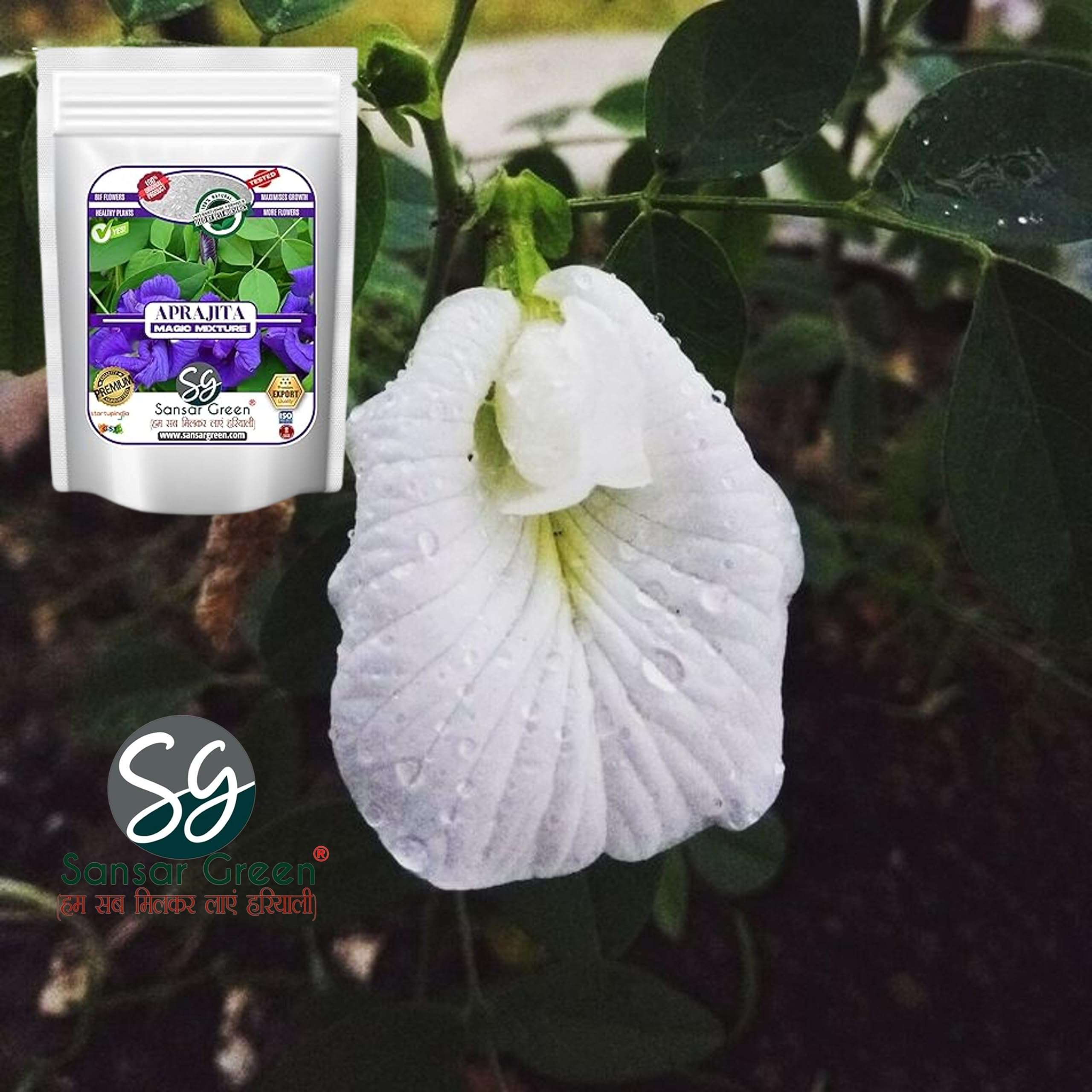 Sansar Green ® Aprajita Magic Mixture, Essential Super Powerful Organic Fertilizer for Aprajita Plants with ++ Growth Booster and Active Micro Organism (5kg) 4