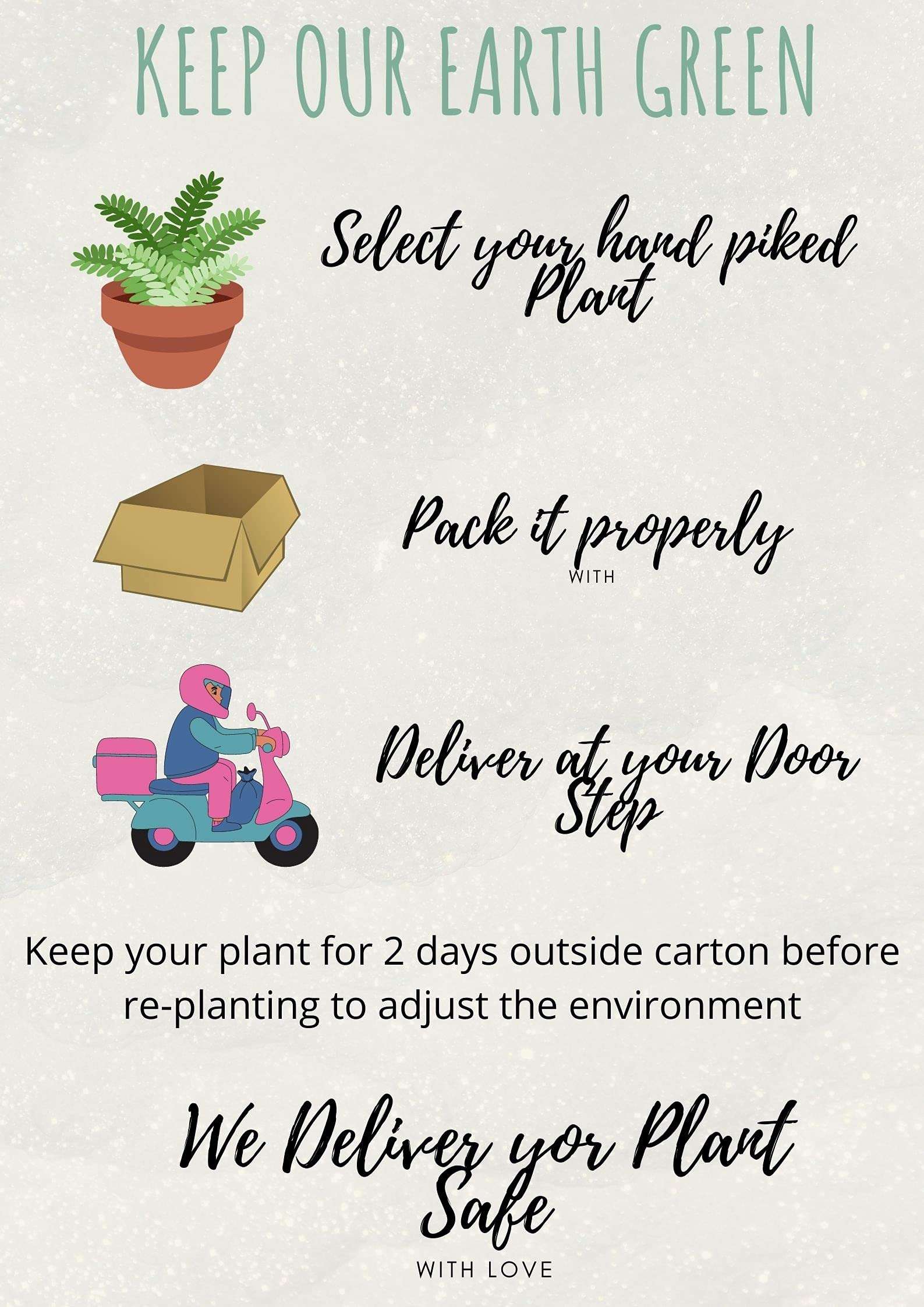 Ohhsome Excoecaria Indoor Plant Combo (Chinese Croton) (Healthy Live Plant) 3