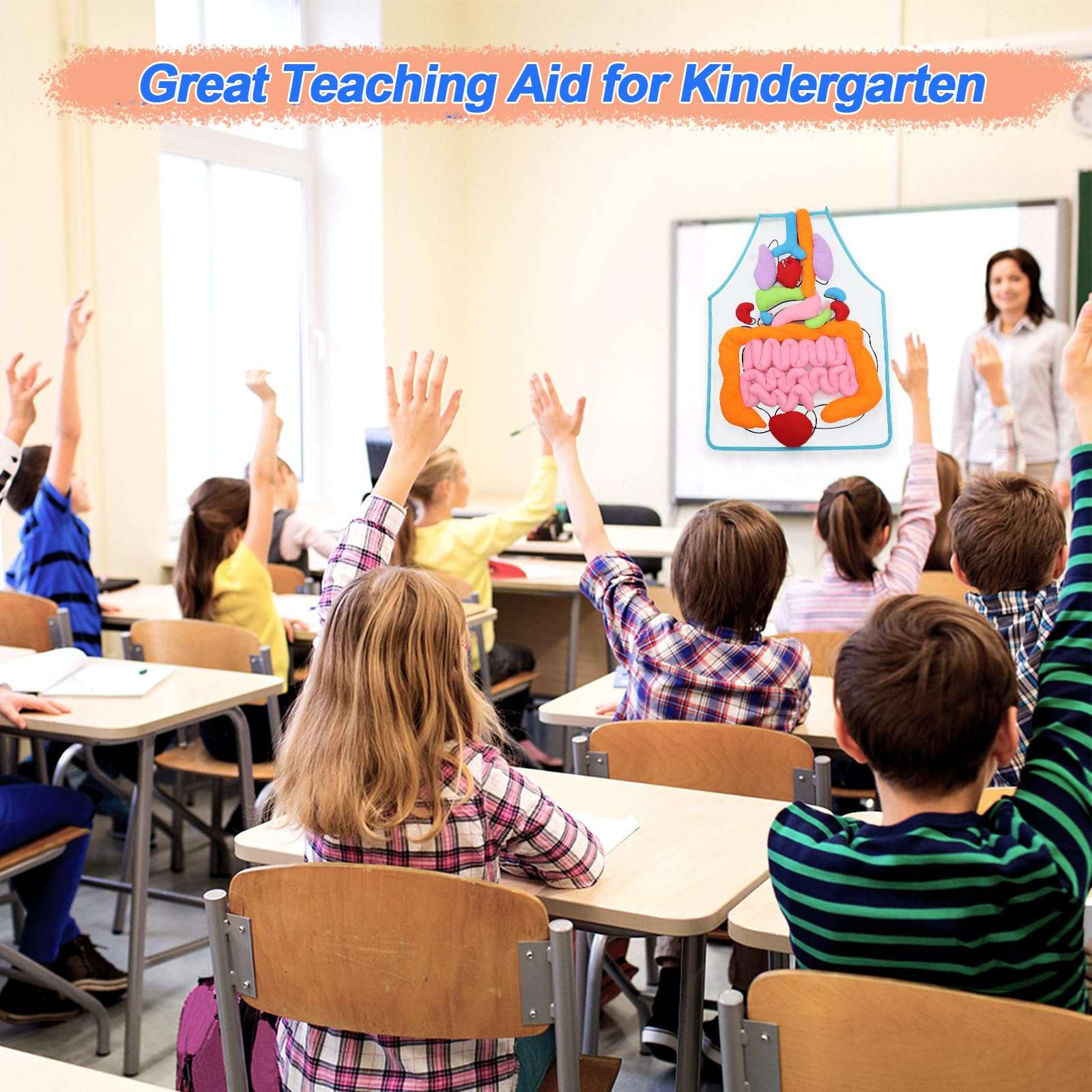 KAKIBLIN 3D Organ Apron,(Upgrade Version) Anatomy Apron Human Body Organs Awareness Educational Toy for Home Preschool Teaching Aid, Transparent 5