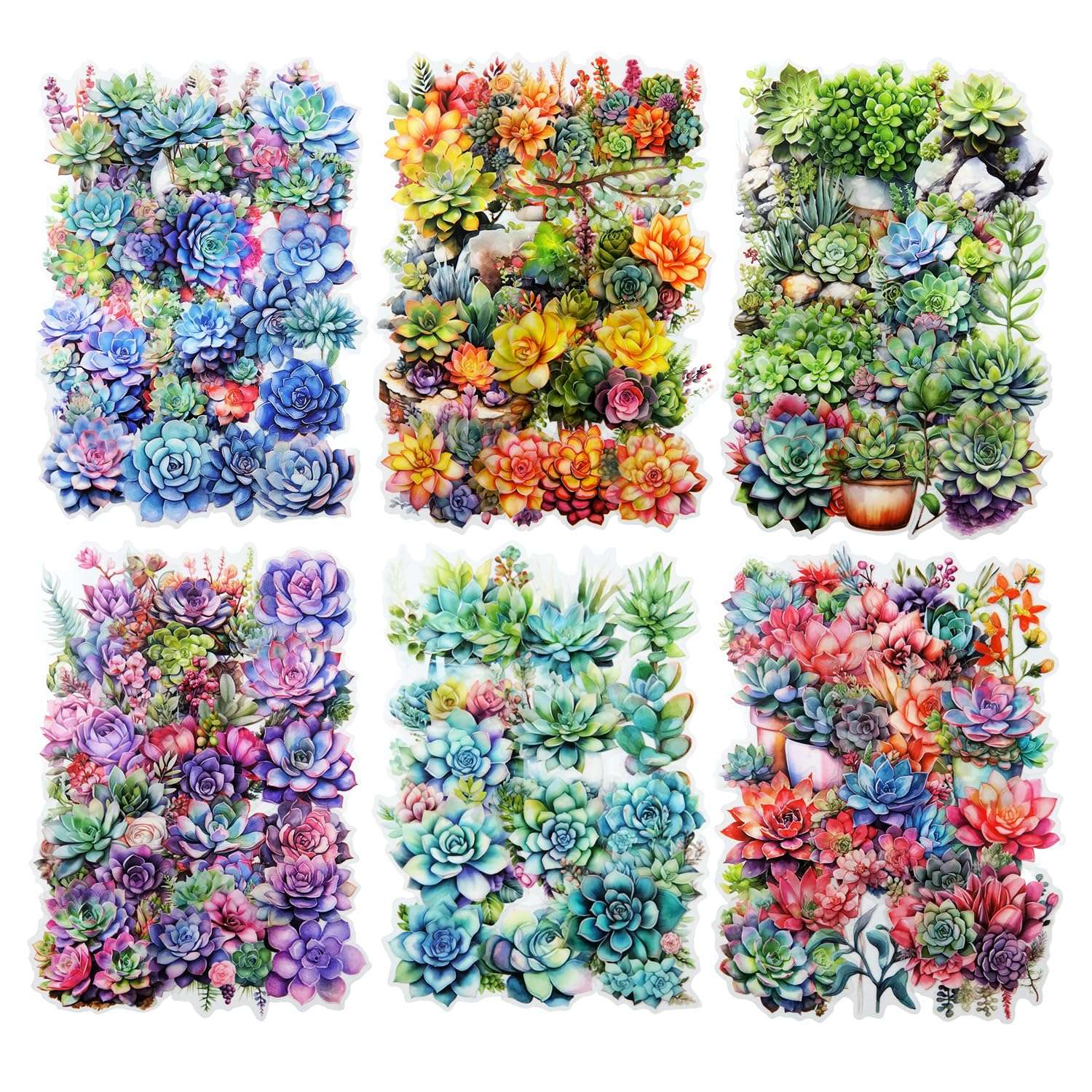 Miyouluna 120Pcs Colorful Succulent PET Stickers, Vibrant Multicolor Botanical Designs for Journaling, Scrapbooking, DIY Crafts, and Creative Projects 1