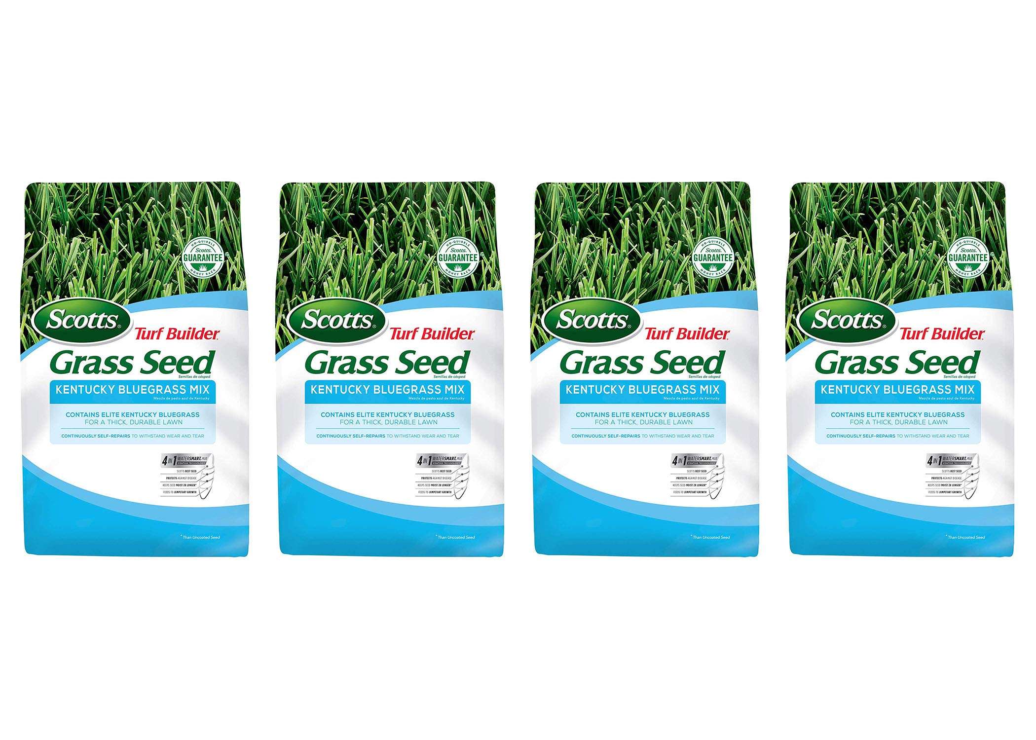 Scotts Turf Builder Grass Seed Kentucky Bluegrass Mix, 7 lbs. (4-Pack) 3