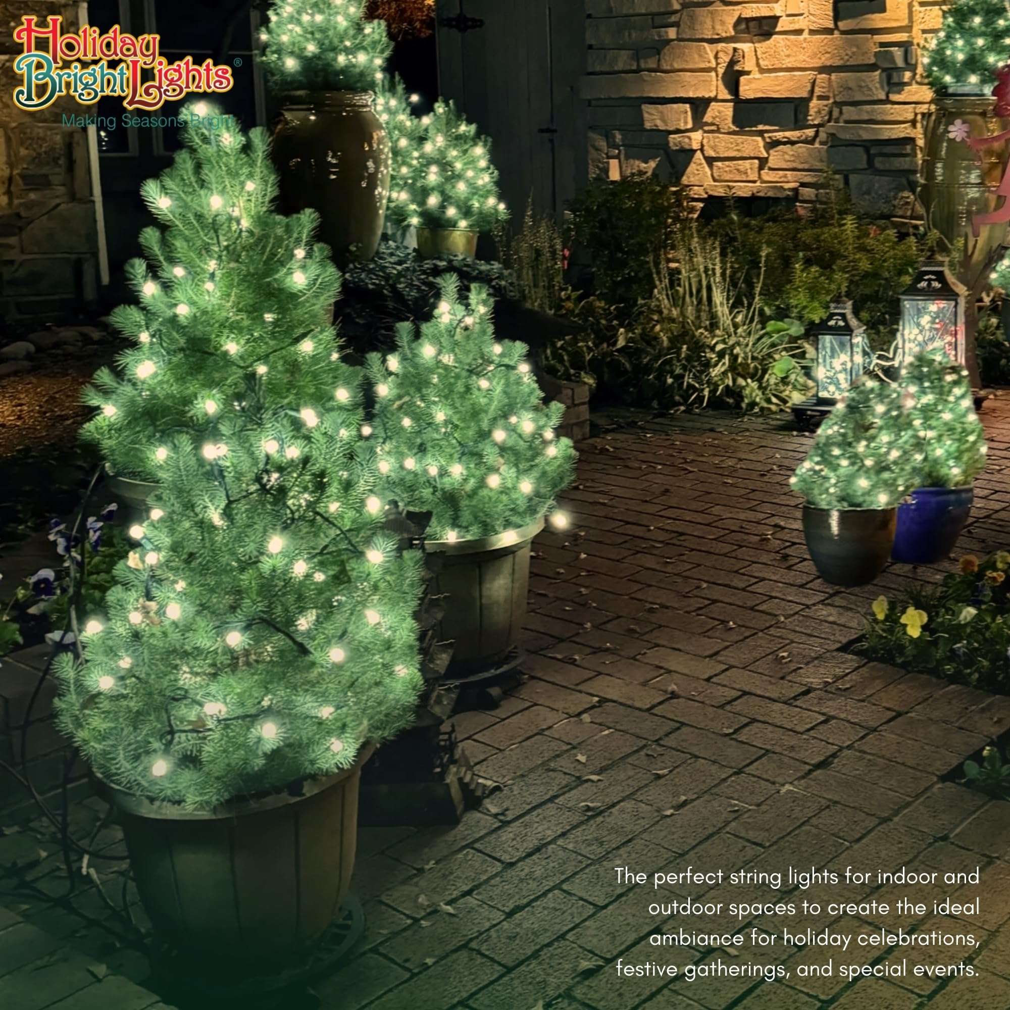 Holiday Bright Lights 50-Bulb G12 Warm White LED Light Set Indoor/Outdoor Patio String Lights Porch Decor, 6IN Bulb Spacing 6