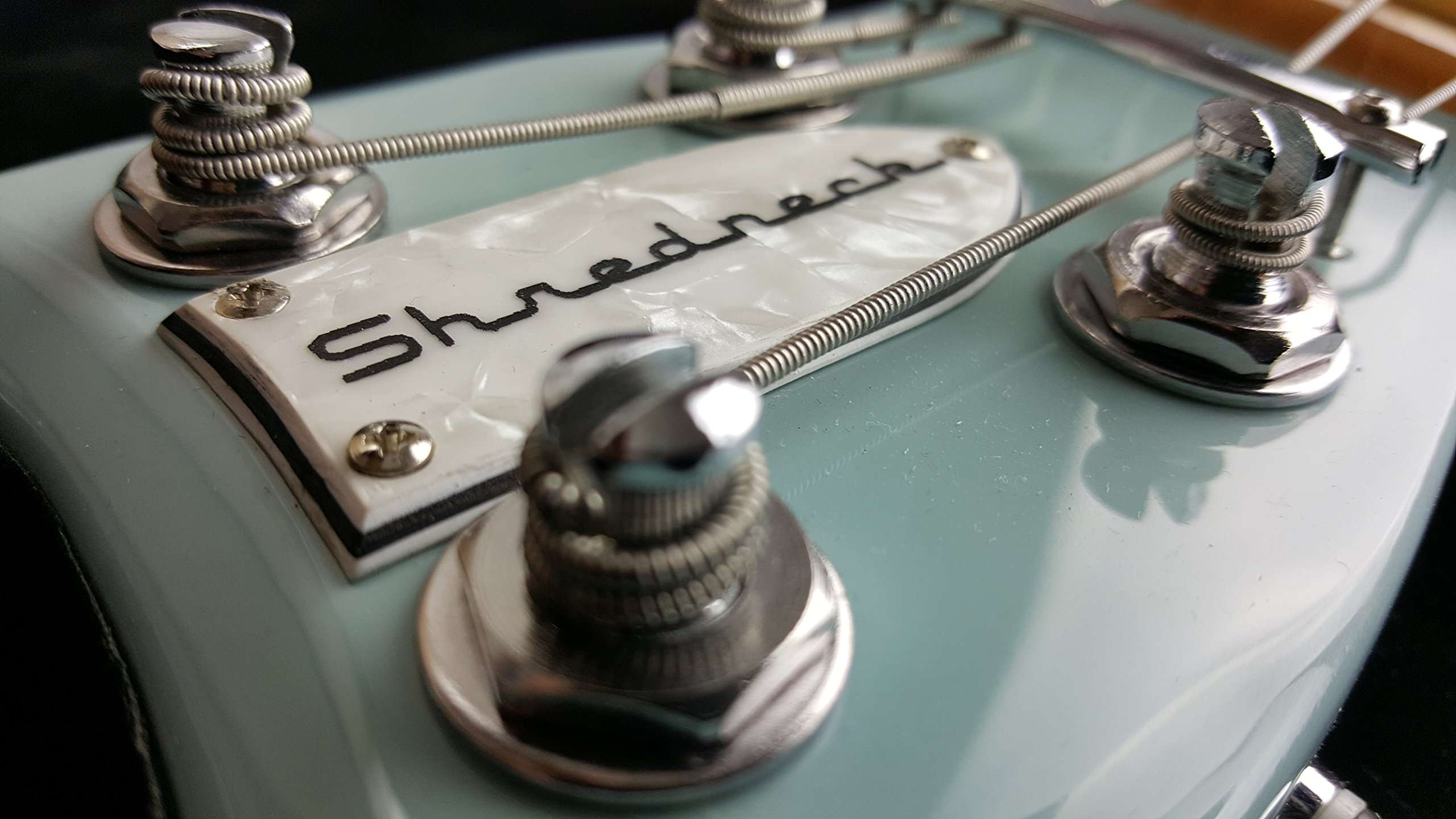 Shredneck Bassneck Billy Sheehan Signature Model - Sonic Blue 5