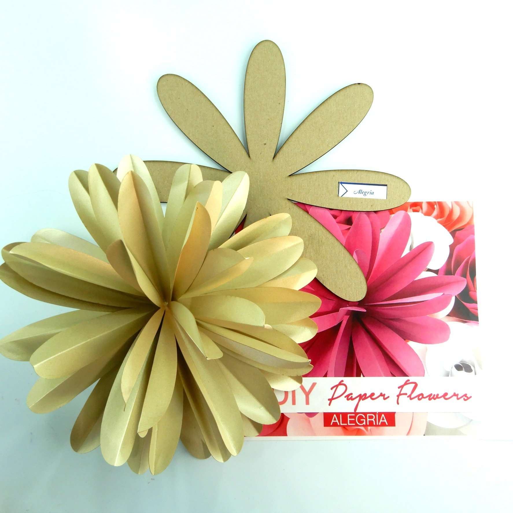 Paper Flower Template Kit Pattern DIY Make Your own Flower Backdrop Photo Booth Flower Decoration Card Stock Alegria 5