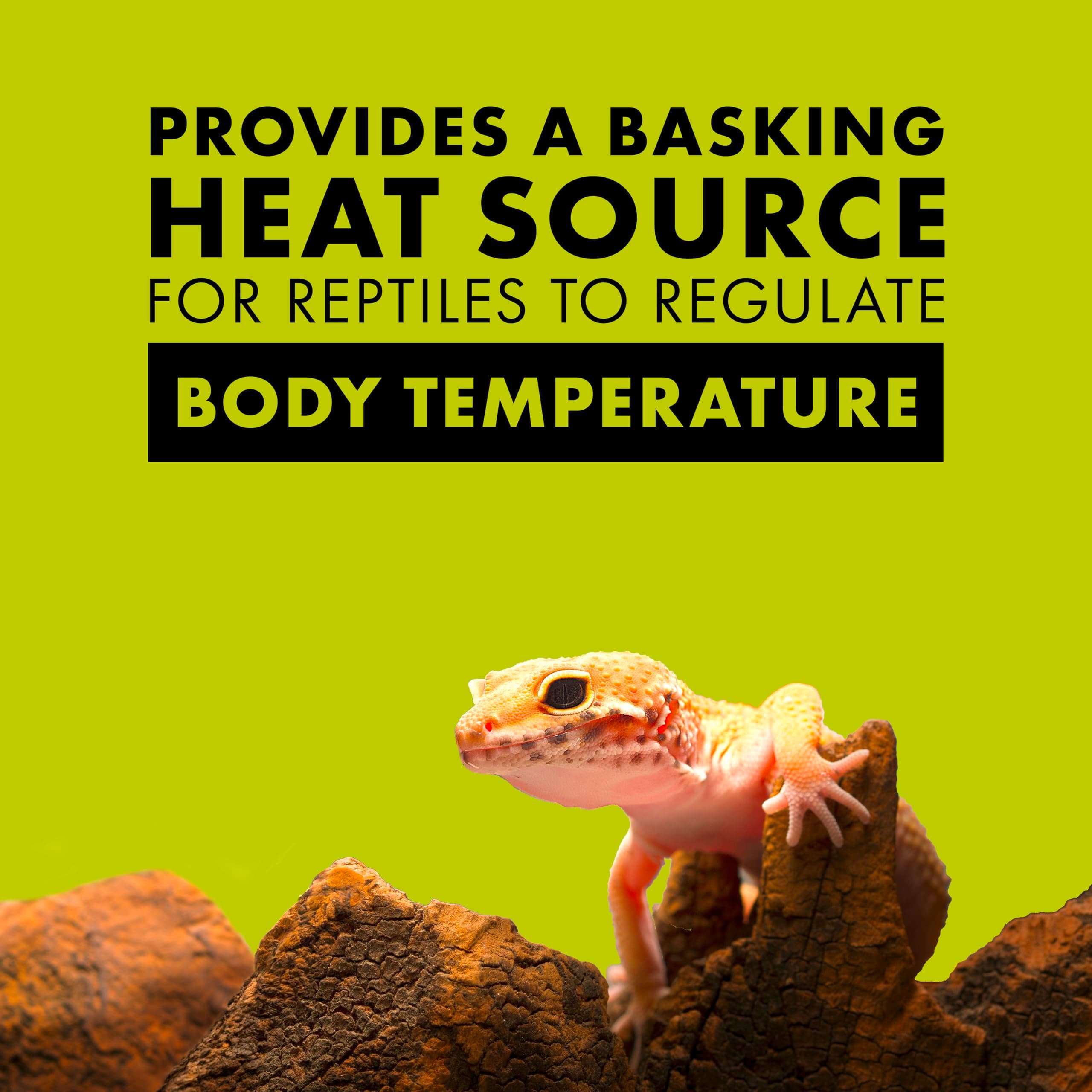 Zilla Incandescent Spot Bulbs Day White 100 Watts 3