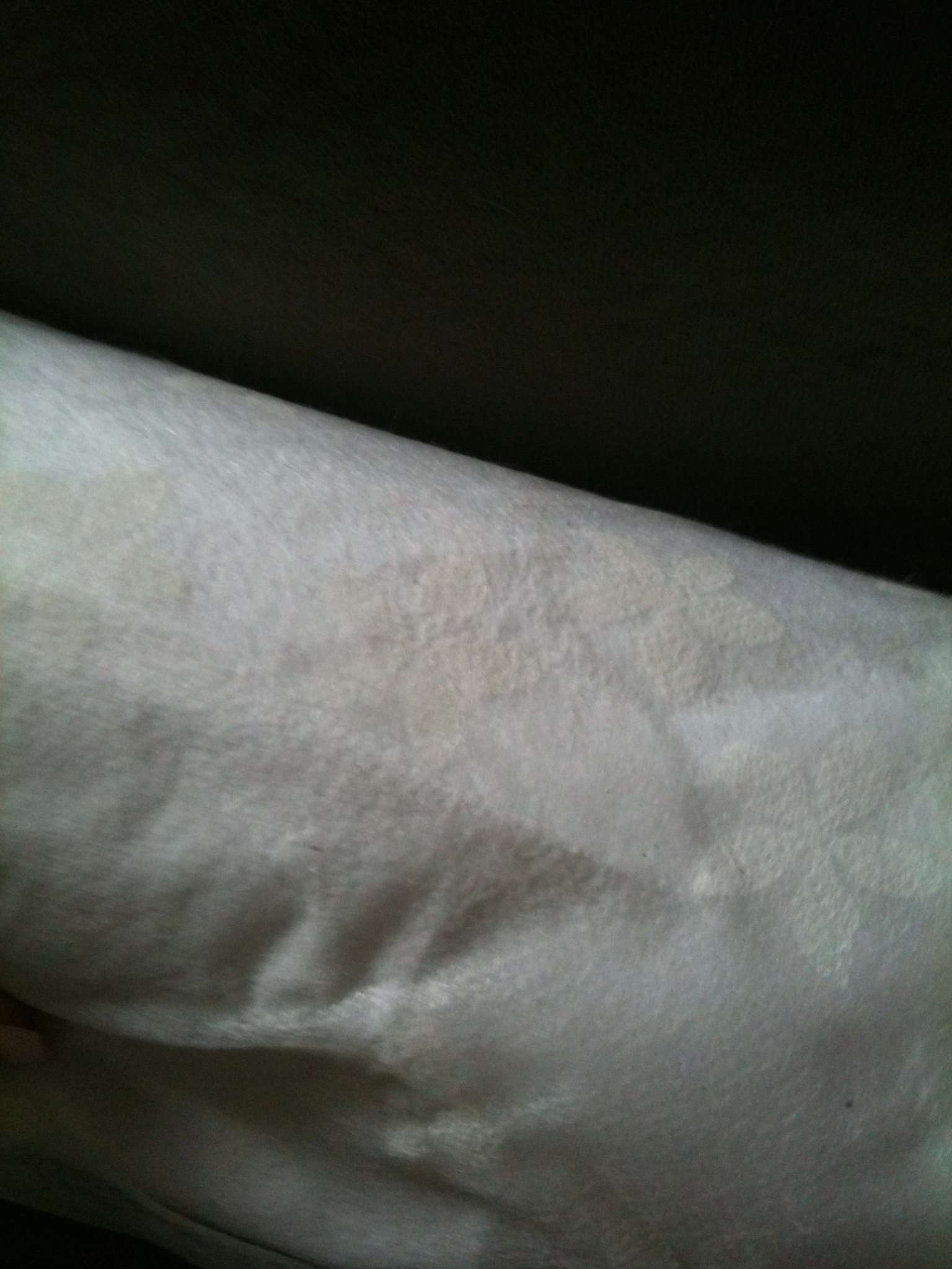 Best Occasions Aisle Runner 2