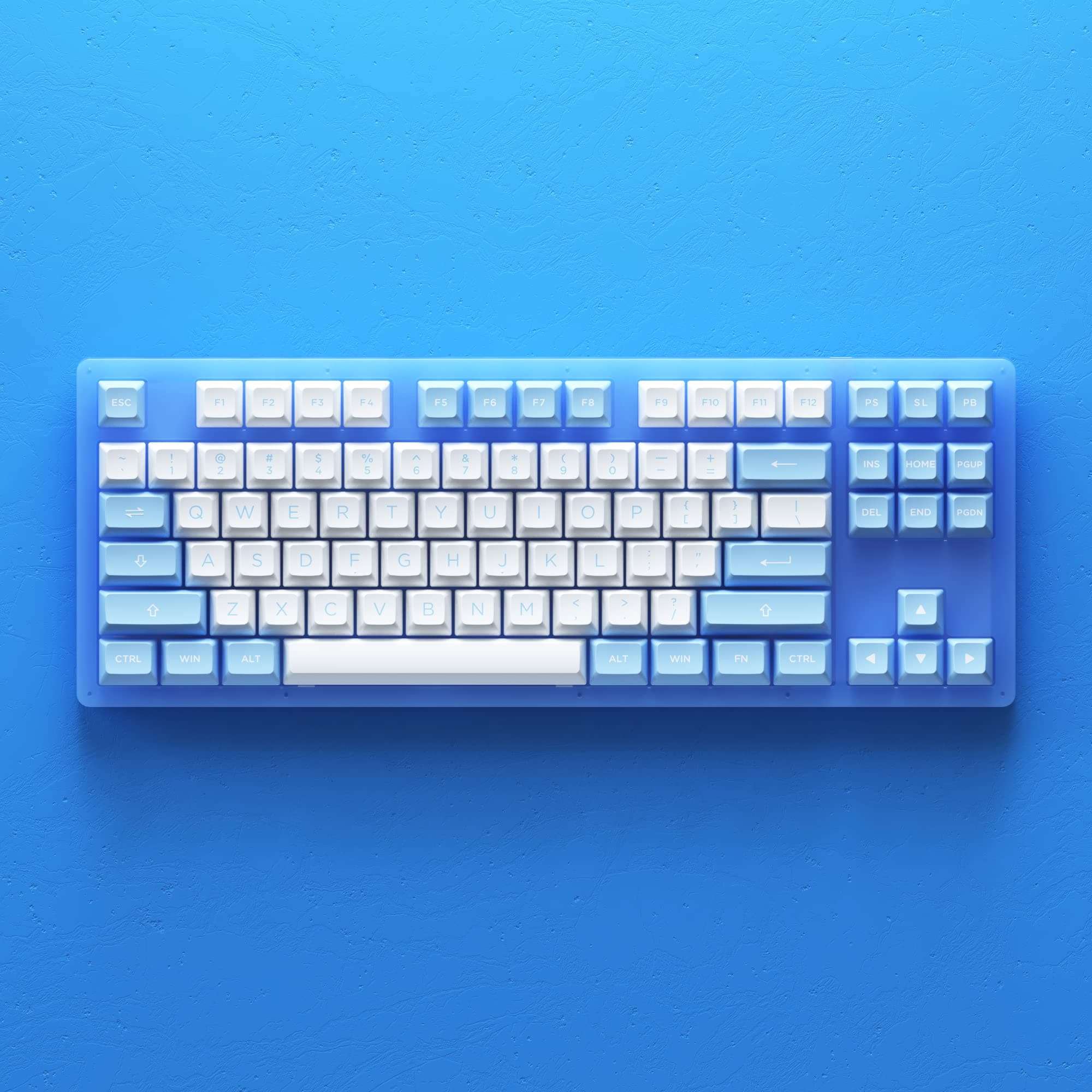 EPOMAKER AKKO ACR87 Doll of The Princess 87 Keys Hot Swappable RGB Wired 75% Mechanical Gaming Keyboard with Acrylic Translucent Case, Extra ASA PBT Keys Set for Mac/Win(AKKO CS Jelly Blue Switch) 5