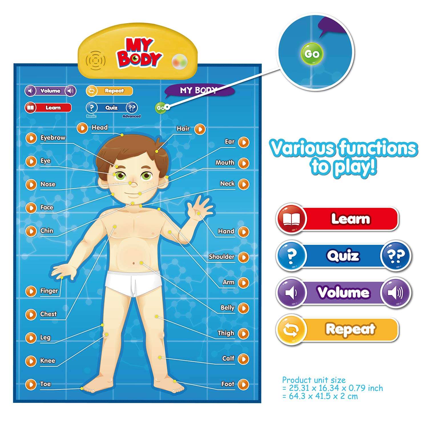 BEST LEARNING i-Poster My Body – Interactive Educational Human Anatomy Talking Toy for Kids Ages 5-12 to Learn Body Parts, Organs, Muscles and Bones Through Fun Sound and Quiz Modes 2