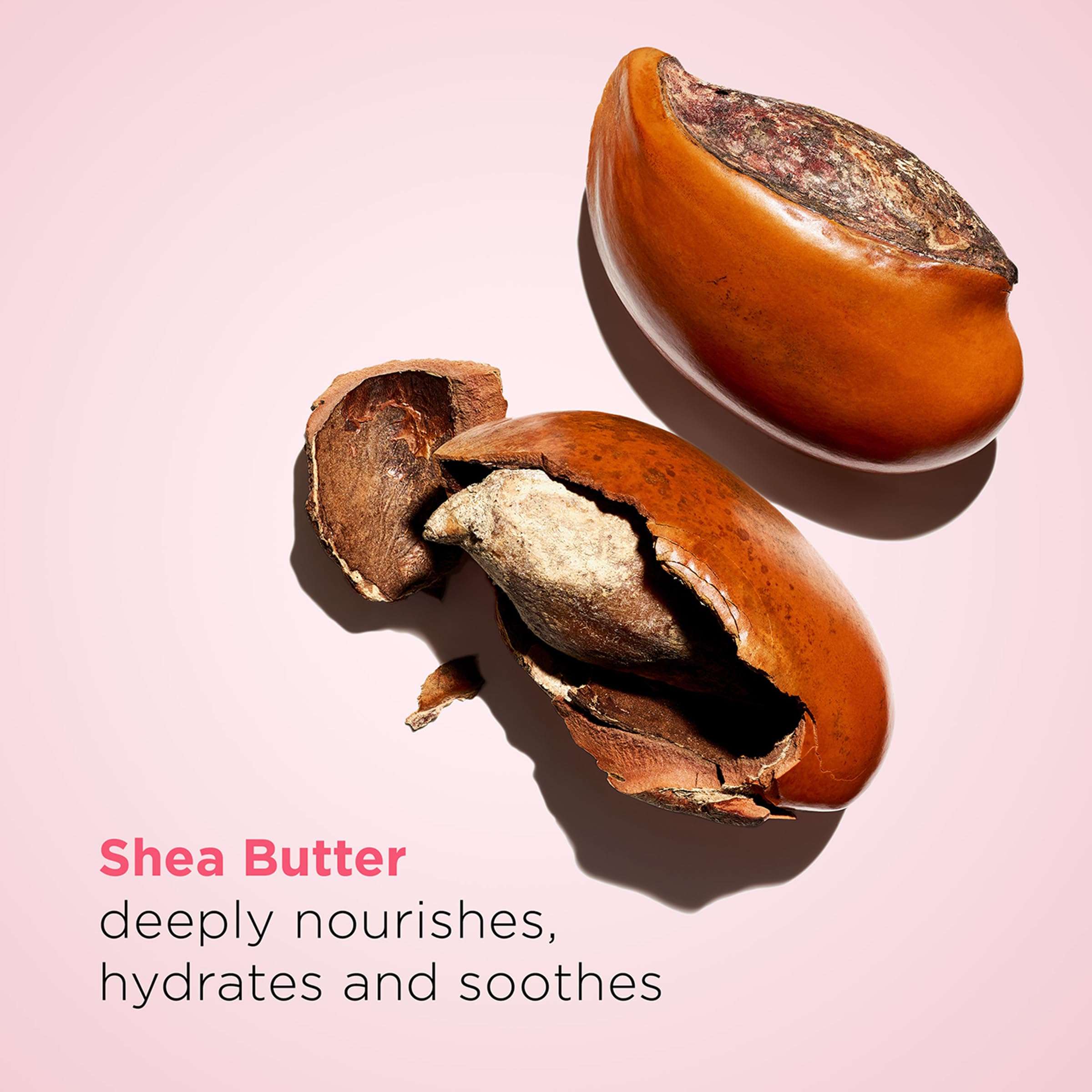 Clarins Moisture-Rich Body Lotion and Exfoliating Body Scrub for Smooth Skin Bundle | Body Cream Intensely Hydrates Very Dry Skin | Softening and Smoothing Body Scrub 4