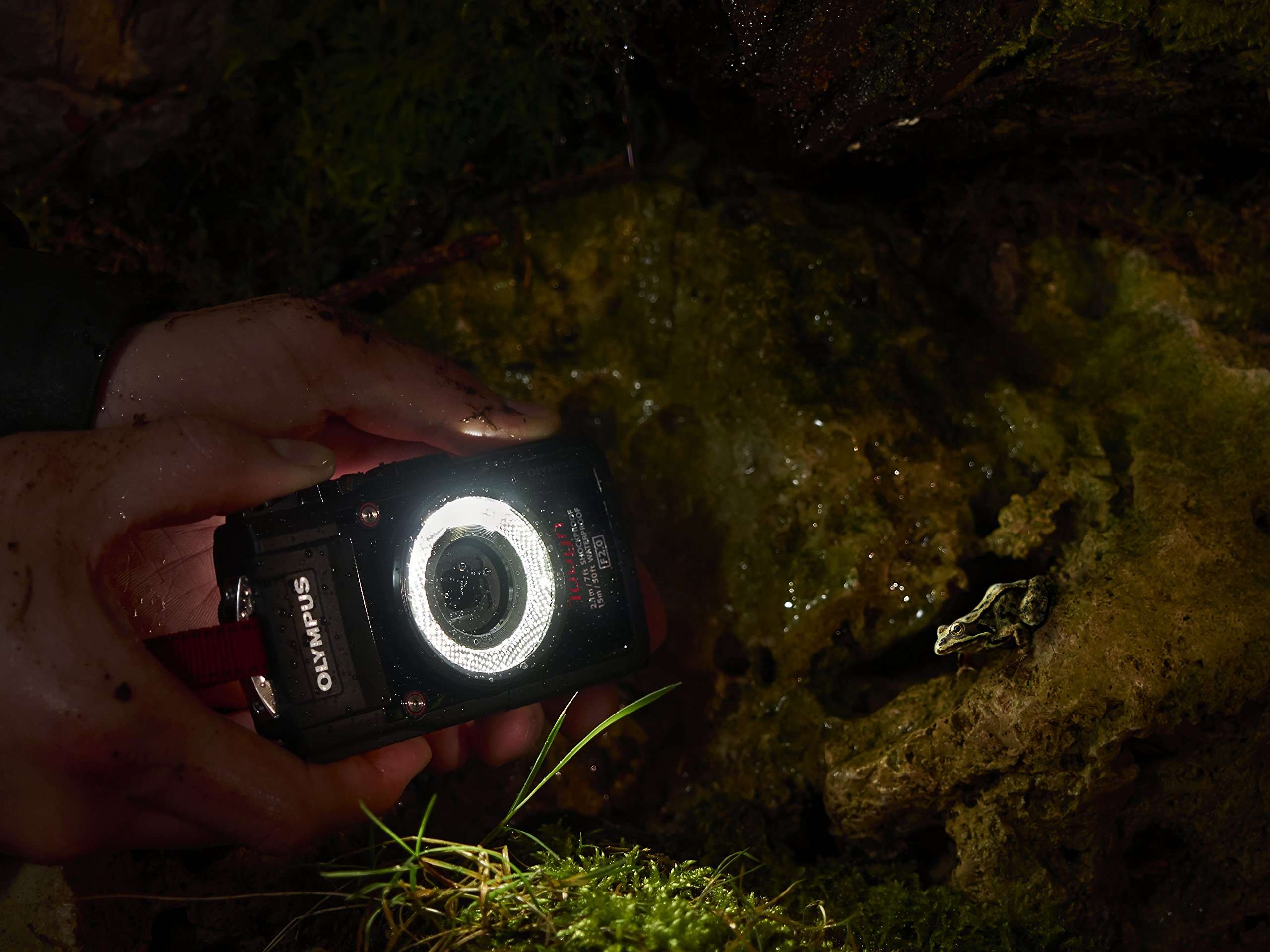 OLYMPUS LED Light Guide LG-1 5