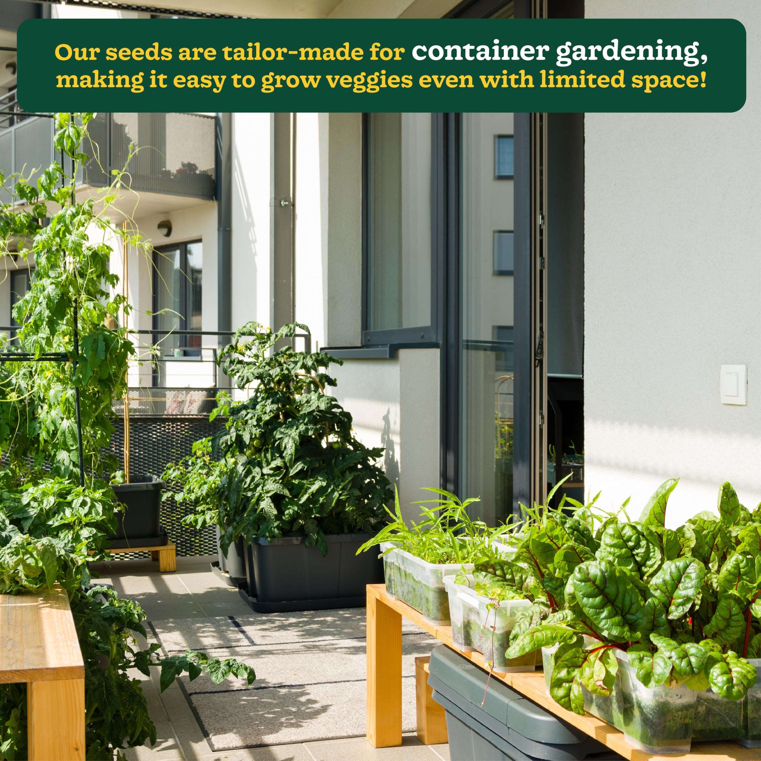 UGAOO Indian Vegetable Seeds Bank For Home Garden 50 Varieties - 2255 Seeds 5