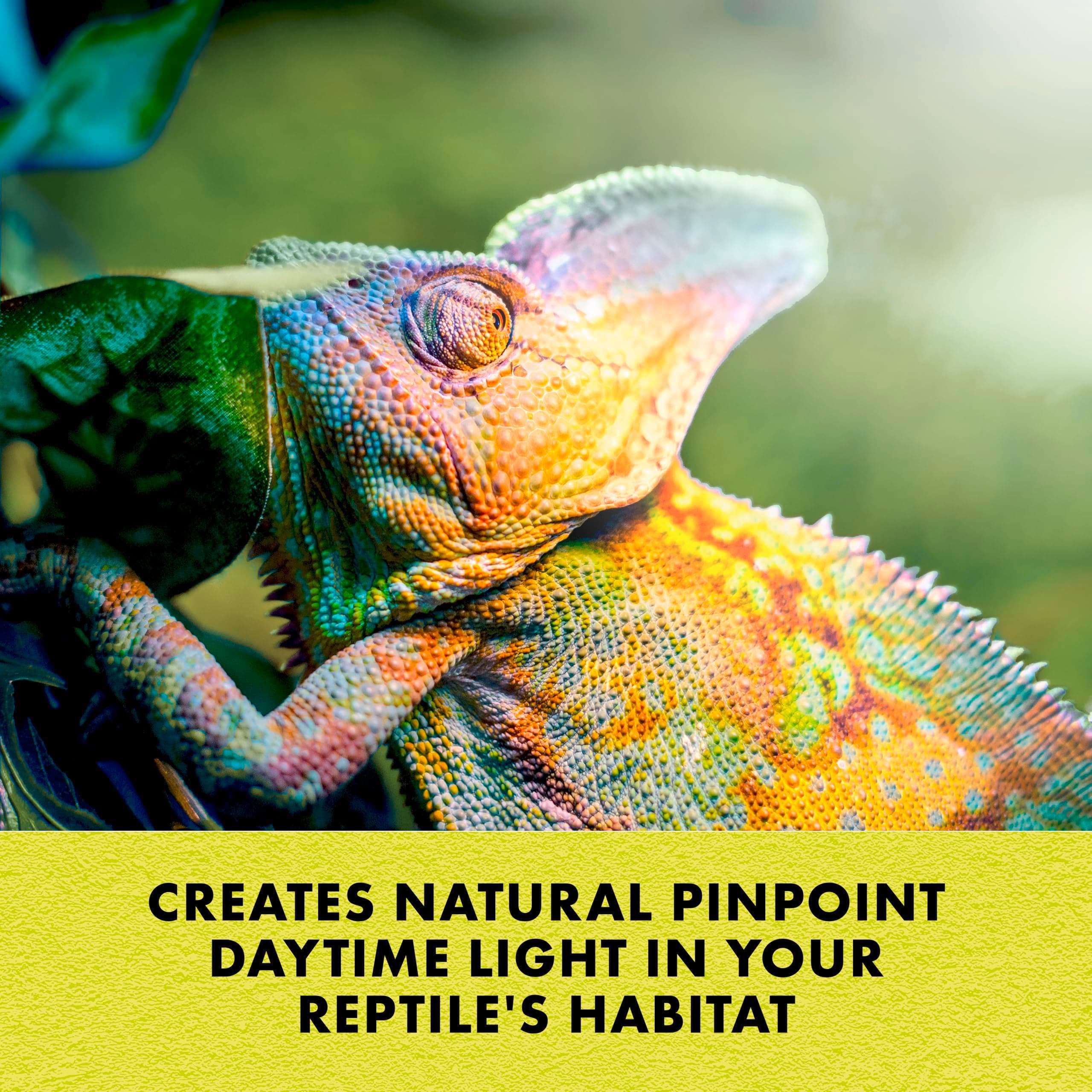 Zilla Incandescent Spot Bulbs Day White 100 Watts 5