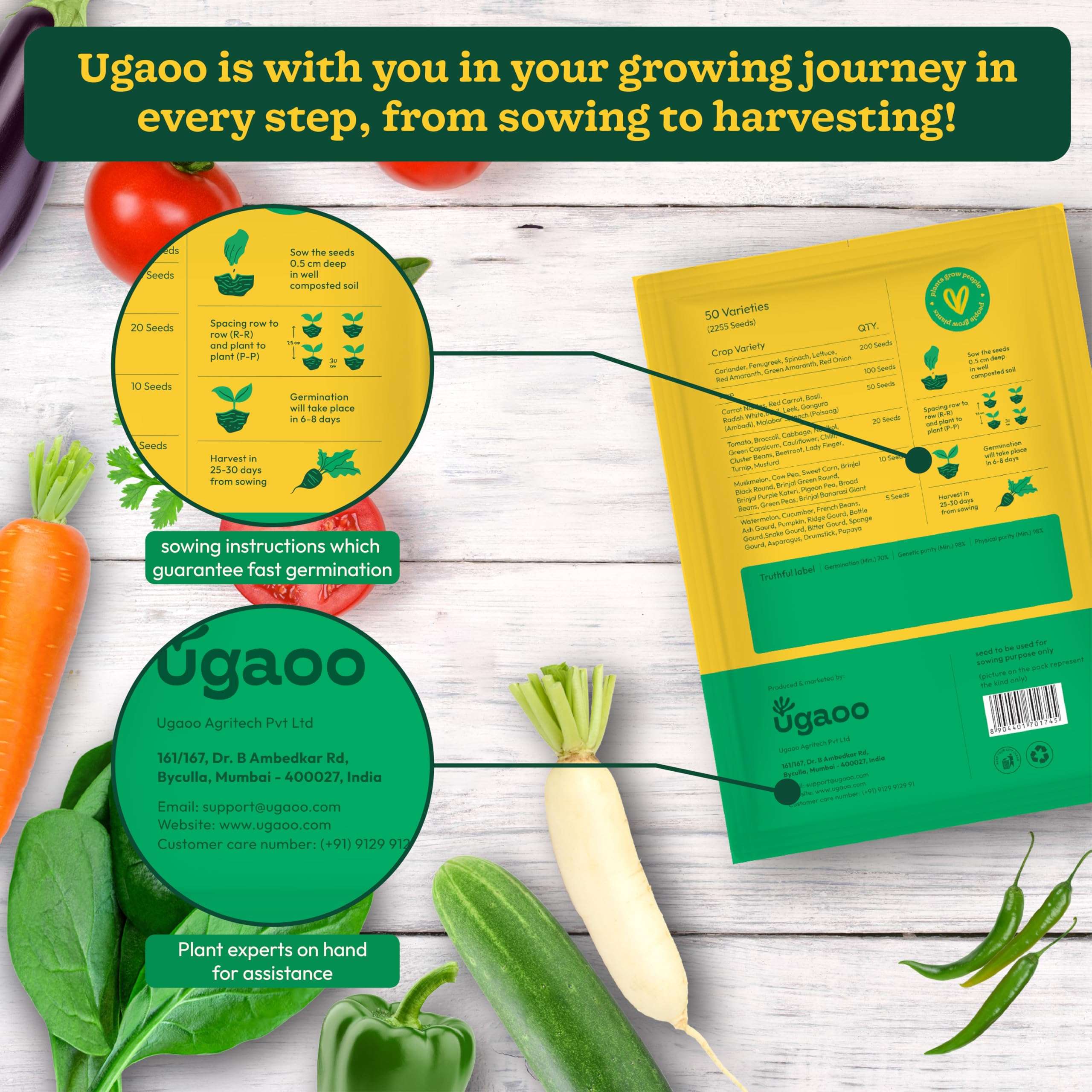 UGAOO Indian Vegetable Seeds Bank For Home Garden 50 Varieties - 2255 Seeds 6