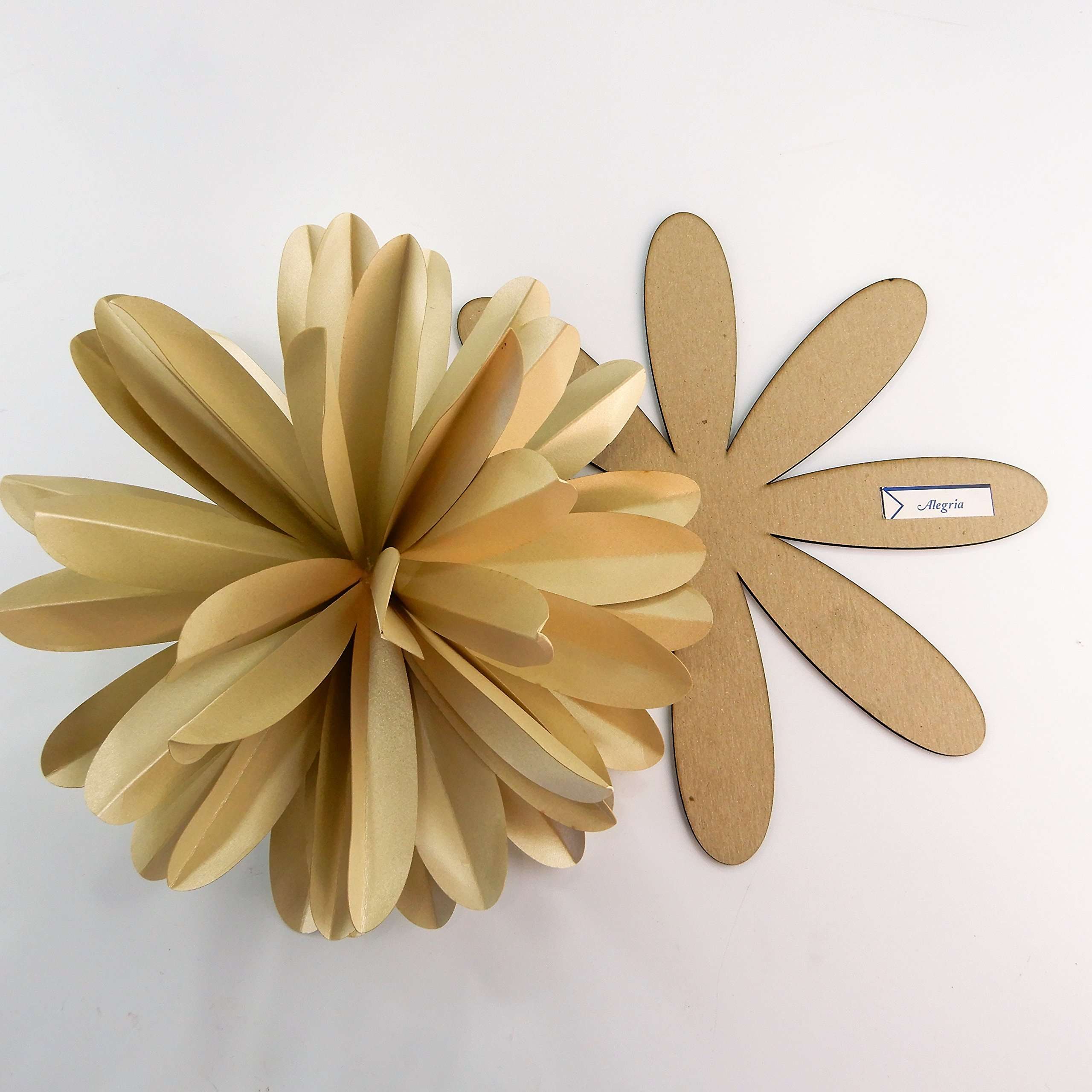 Paper Flower Template Kit Pattern DIY Make Your own Flower Backdrop Photo Booth Flower Decoration Card Stock Alegria 1