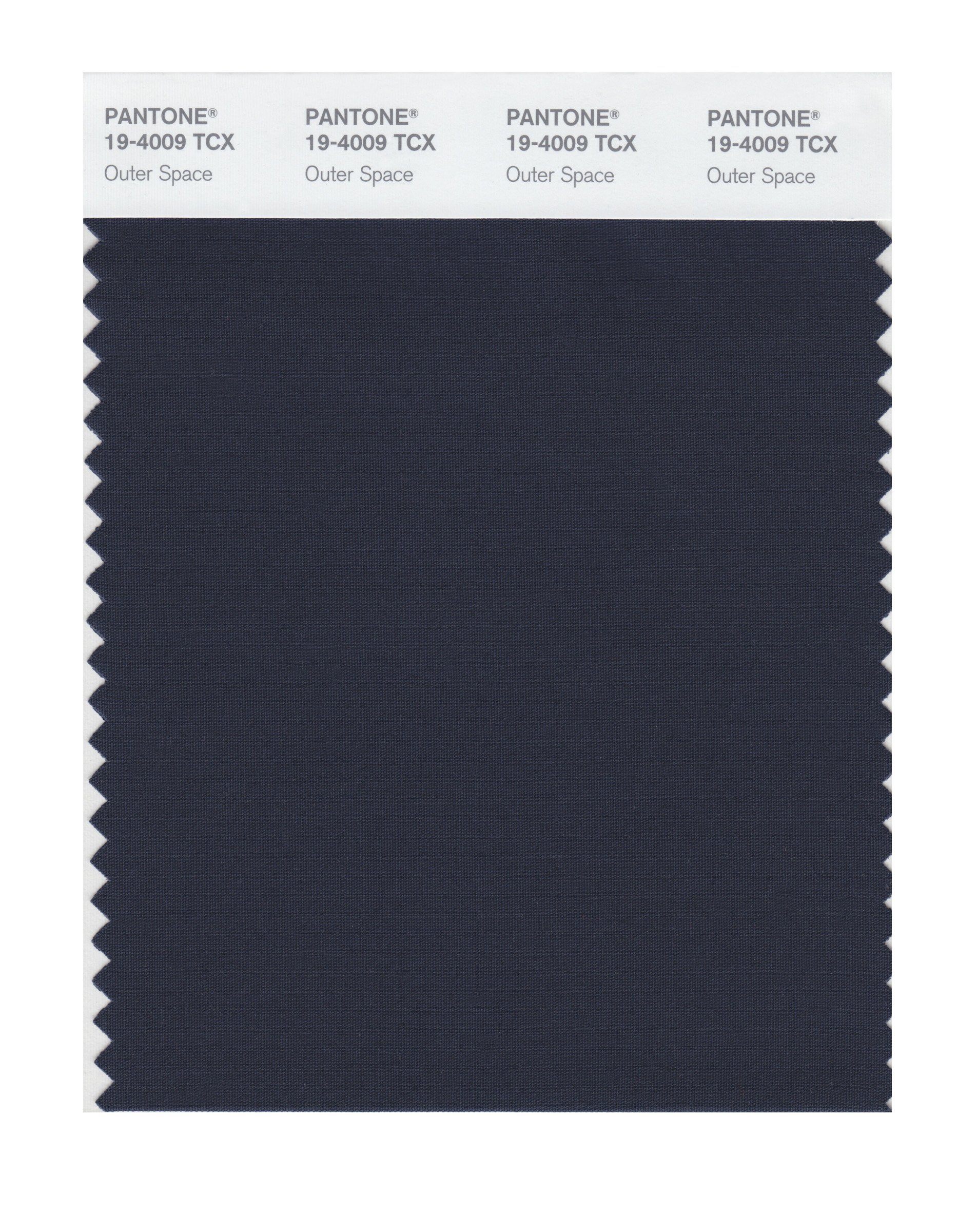 Pantone 19-4009 TCX Smart Color Swatch Card, Outer Space