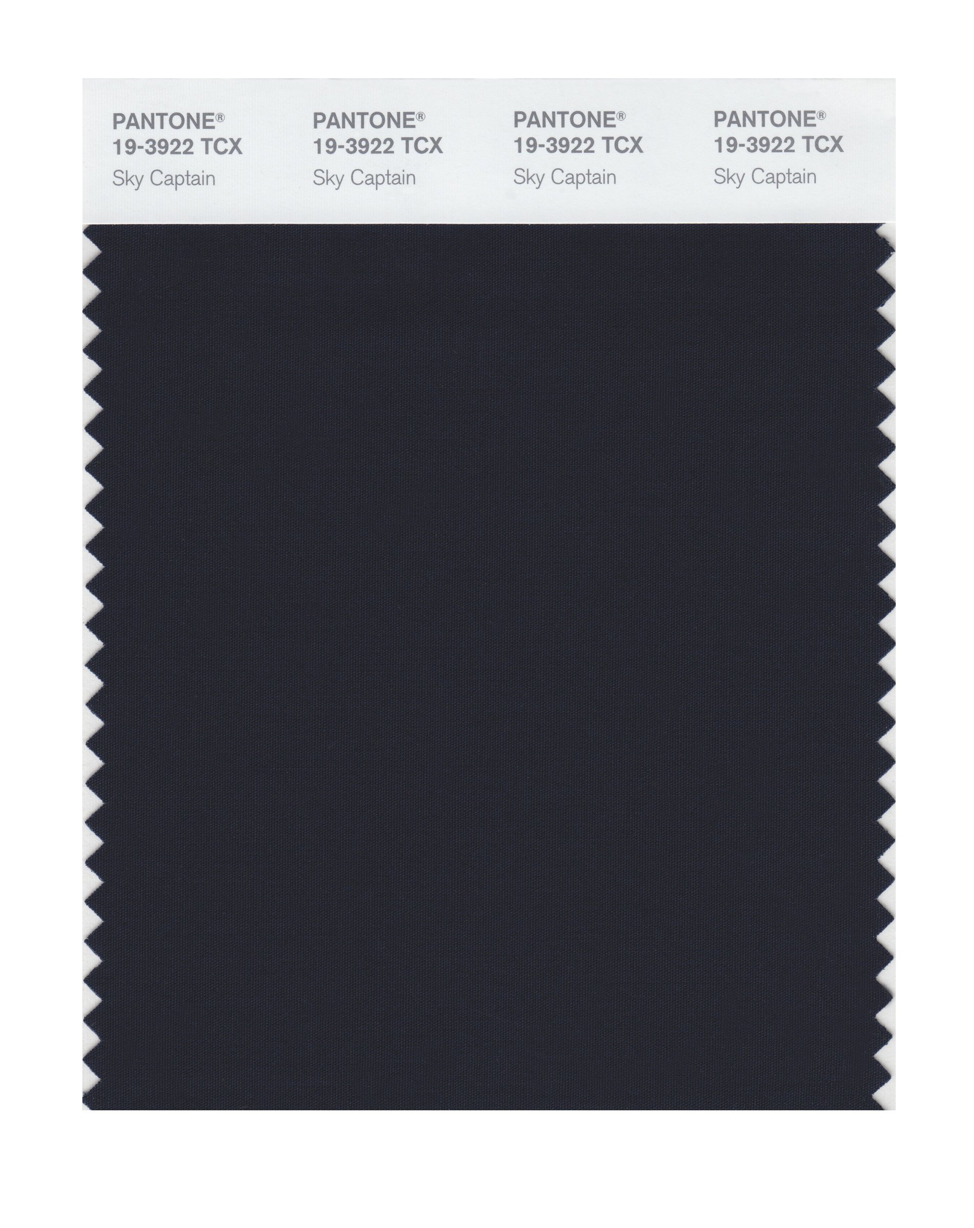 Pantone 19-3922 TCX Smart Color Swatch Card, Sky Captain