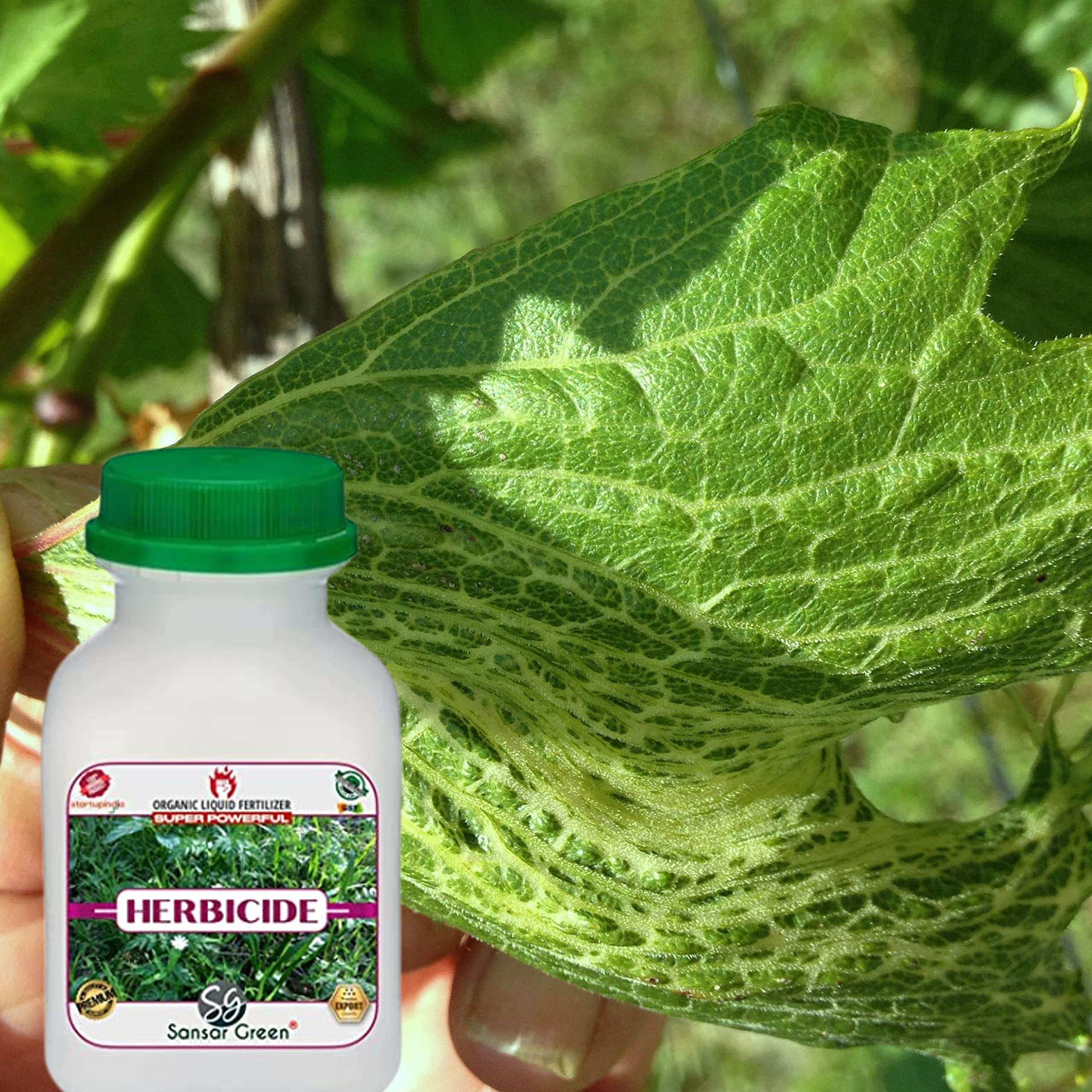Sansar Green® Liquid Herbicide, Premium Essential Super Powerful Liquid Herbicide for Removing Wild Herbs (50 ml) 5