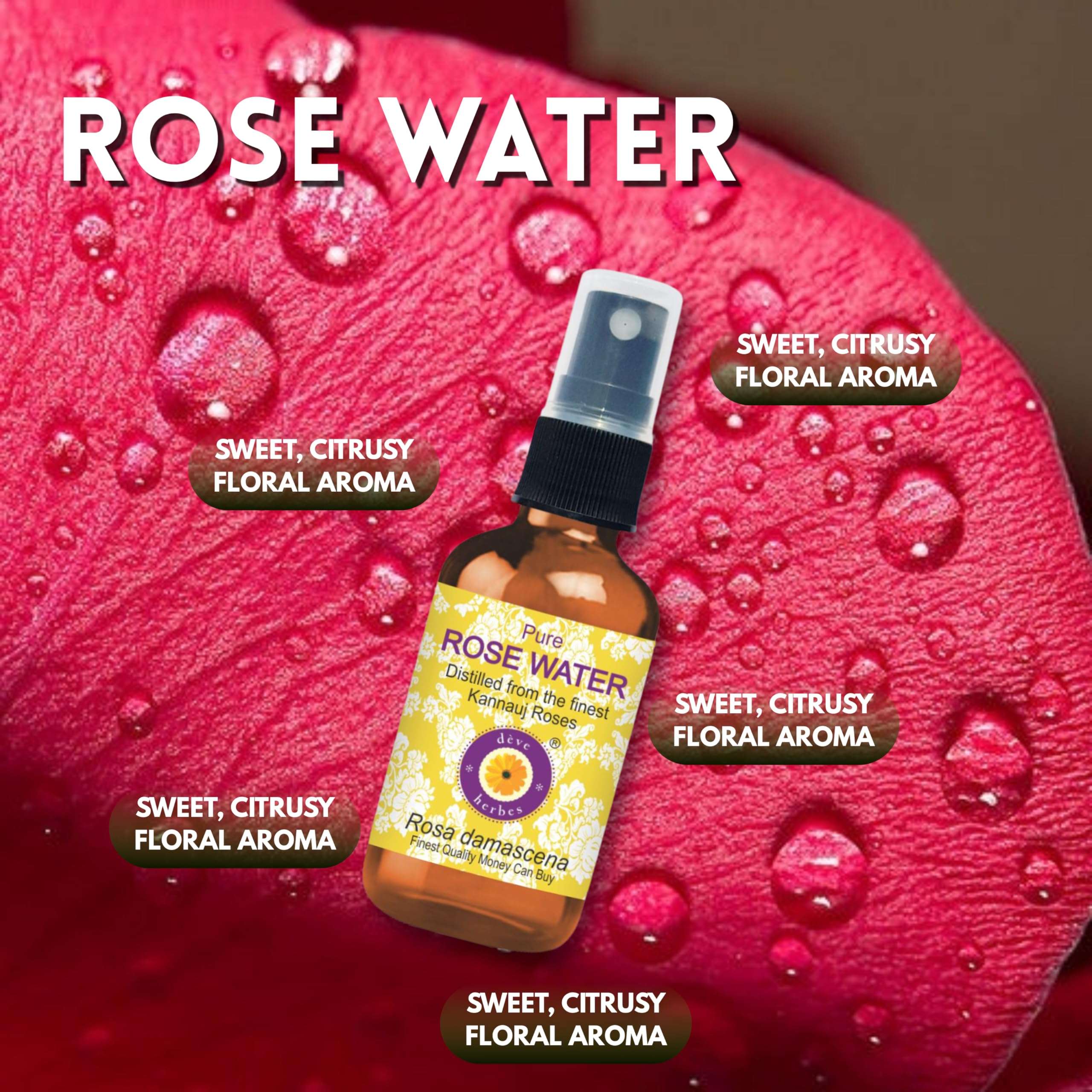 Deve Herbes Pure Rose Water Distilled from The Finest kannauj Roses (Rosa damascena) 50ml (1.69 oz) 2
