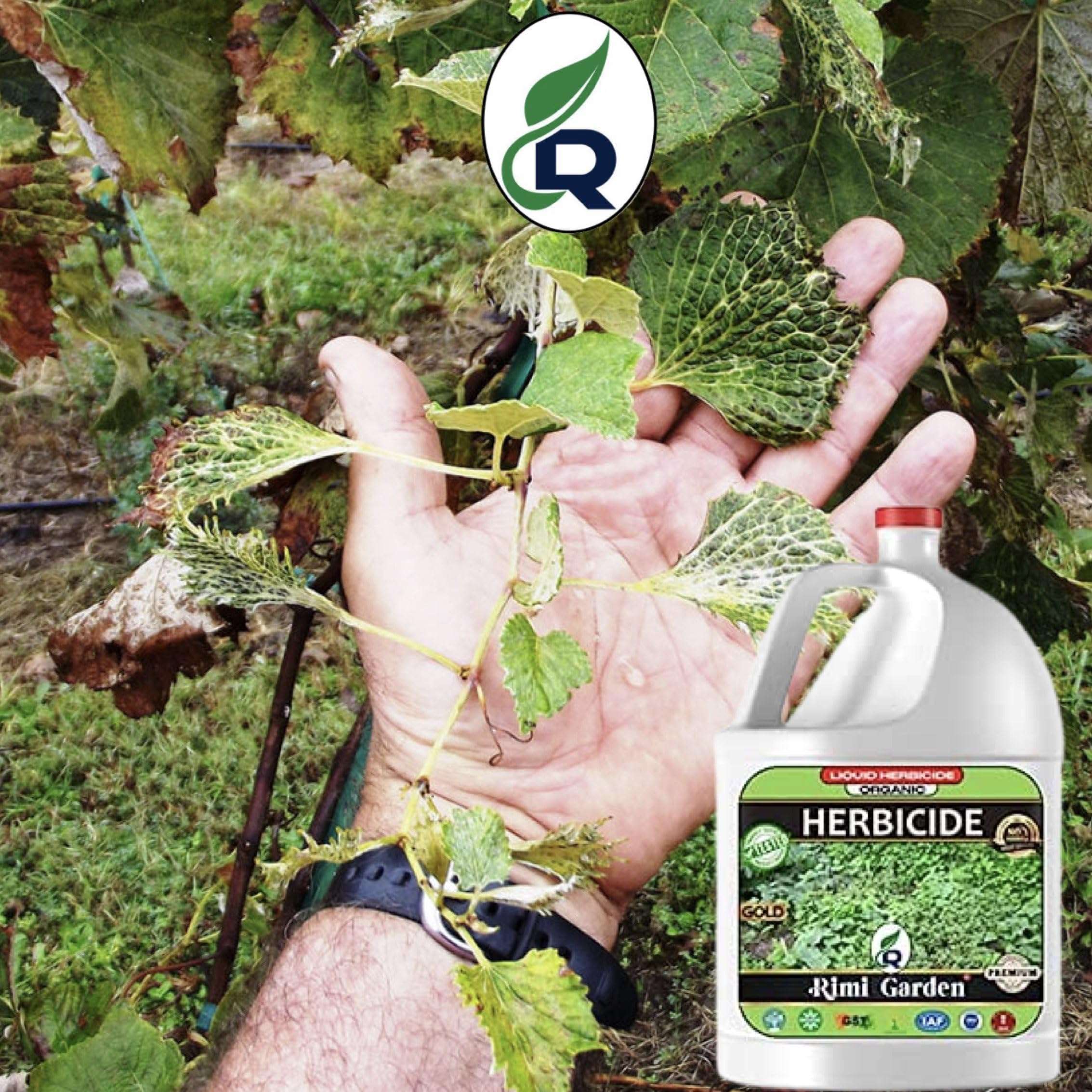 Rimi Garden® Herbicide, Premium Organic Liquid Herbicide for Removing Wild Herbs. (500 ml) 3