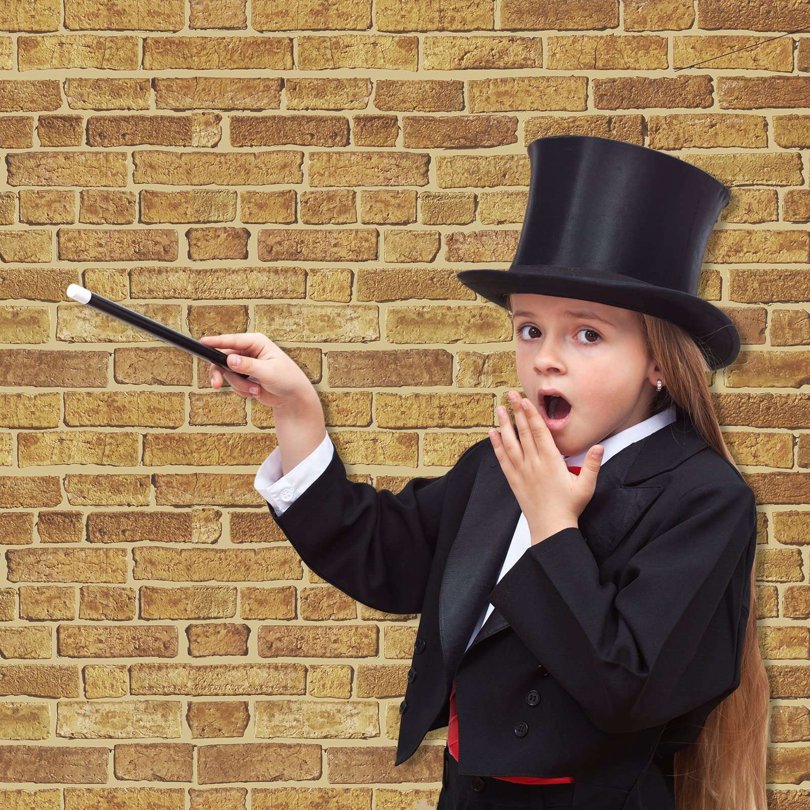 2 Sheet 4.5 x 9 Ft Brick Stone Wall Backdrop Stone Wall Scene Setter Brick Sheet Wallpaper Curtains Door Removable Brick Tablecloth Photo for Halloween Christmas Party Home Decor 6