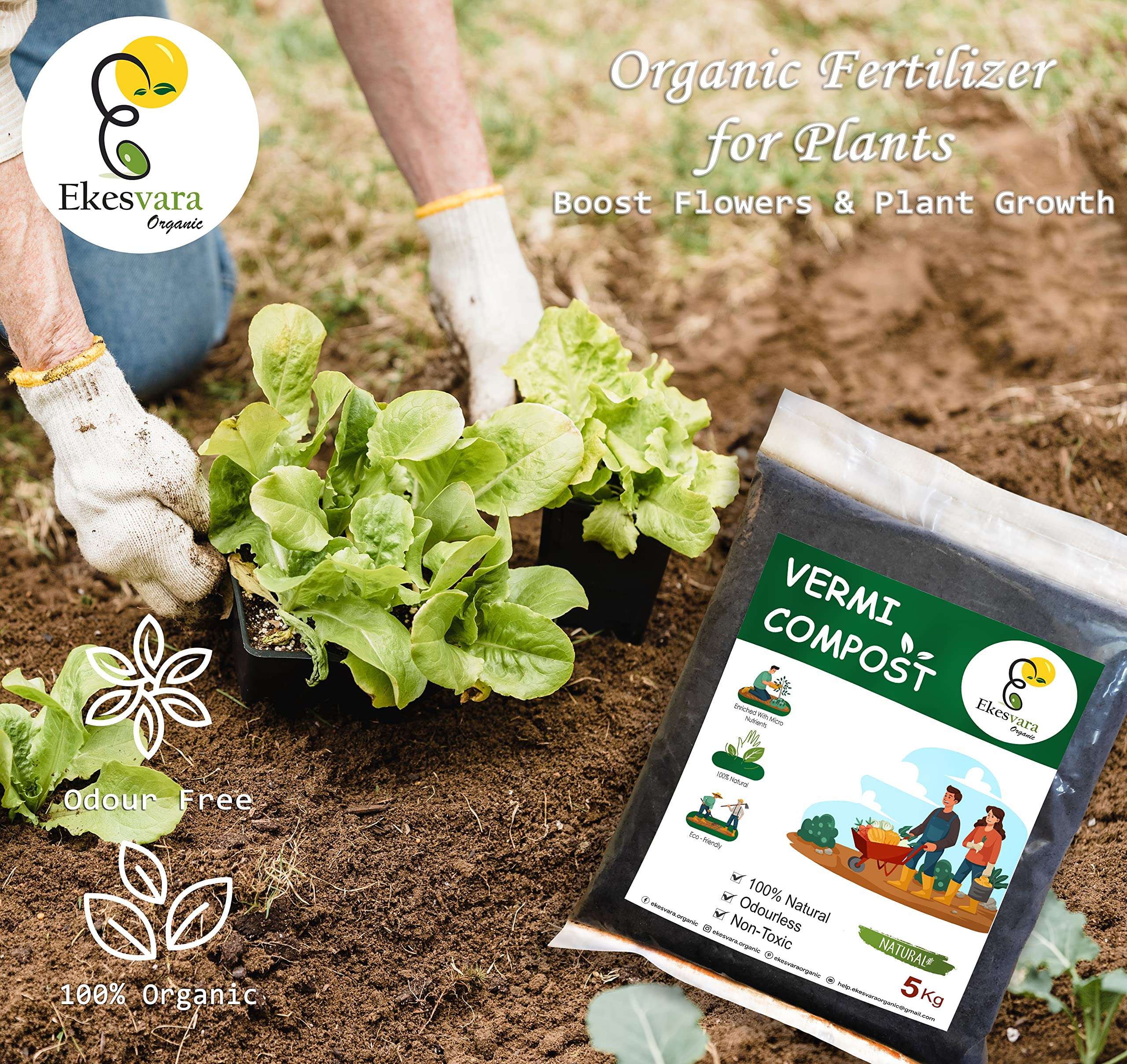 Ekesvara Organic Vermicompost Fertilizer Manure for Plants - 5 KG 4