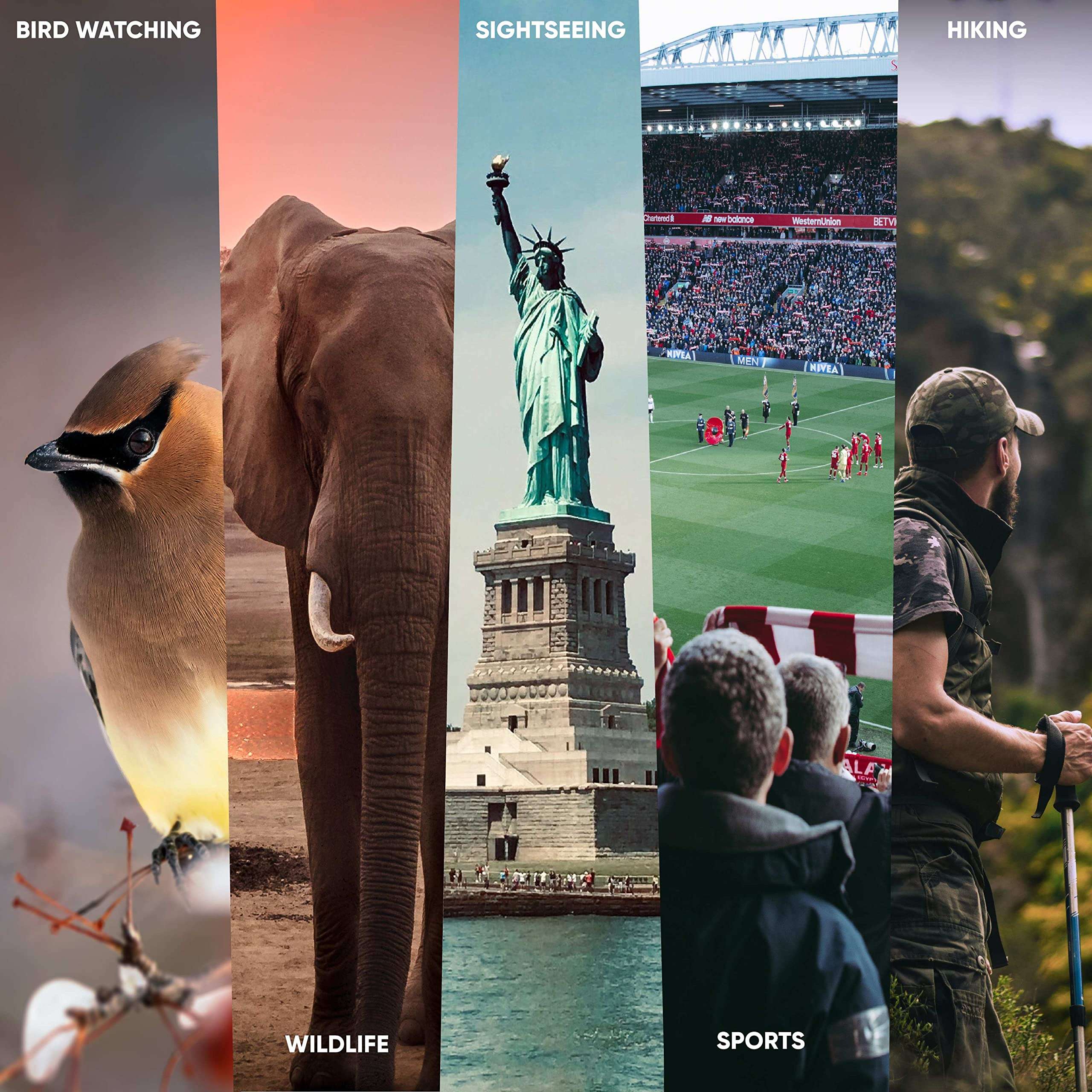 Praktica Falcon 8x40mm Porro Prism Binoculars, Rubber, Black, CDFN840BK 4