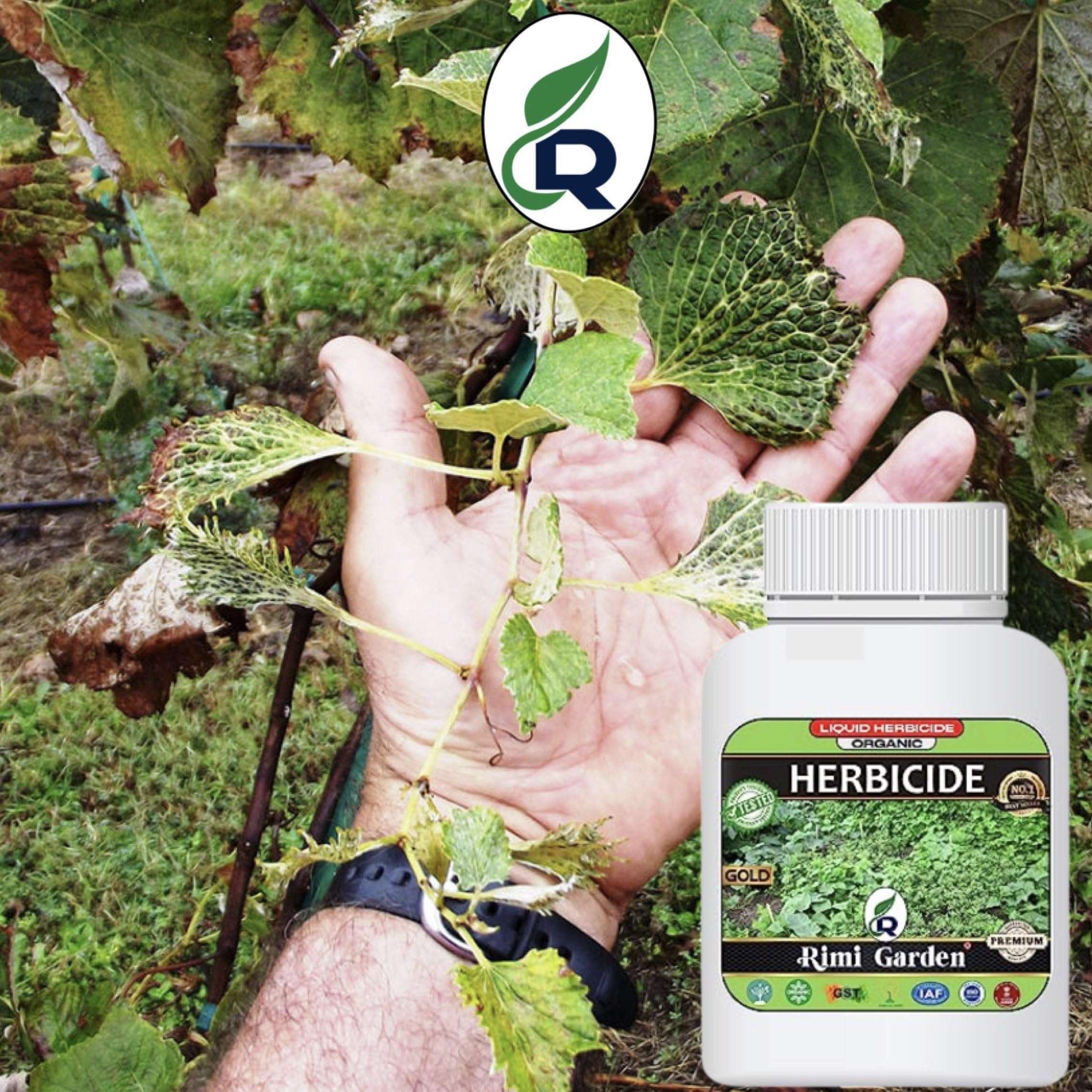 Rimi Garden® Herbicide, Premium Organic Liquid Herbicide for Removing Wild Herbs. (250 ml) 3