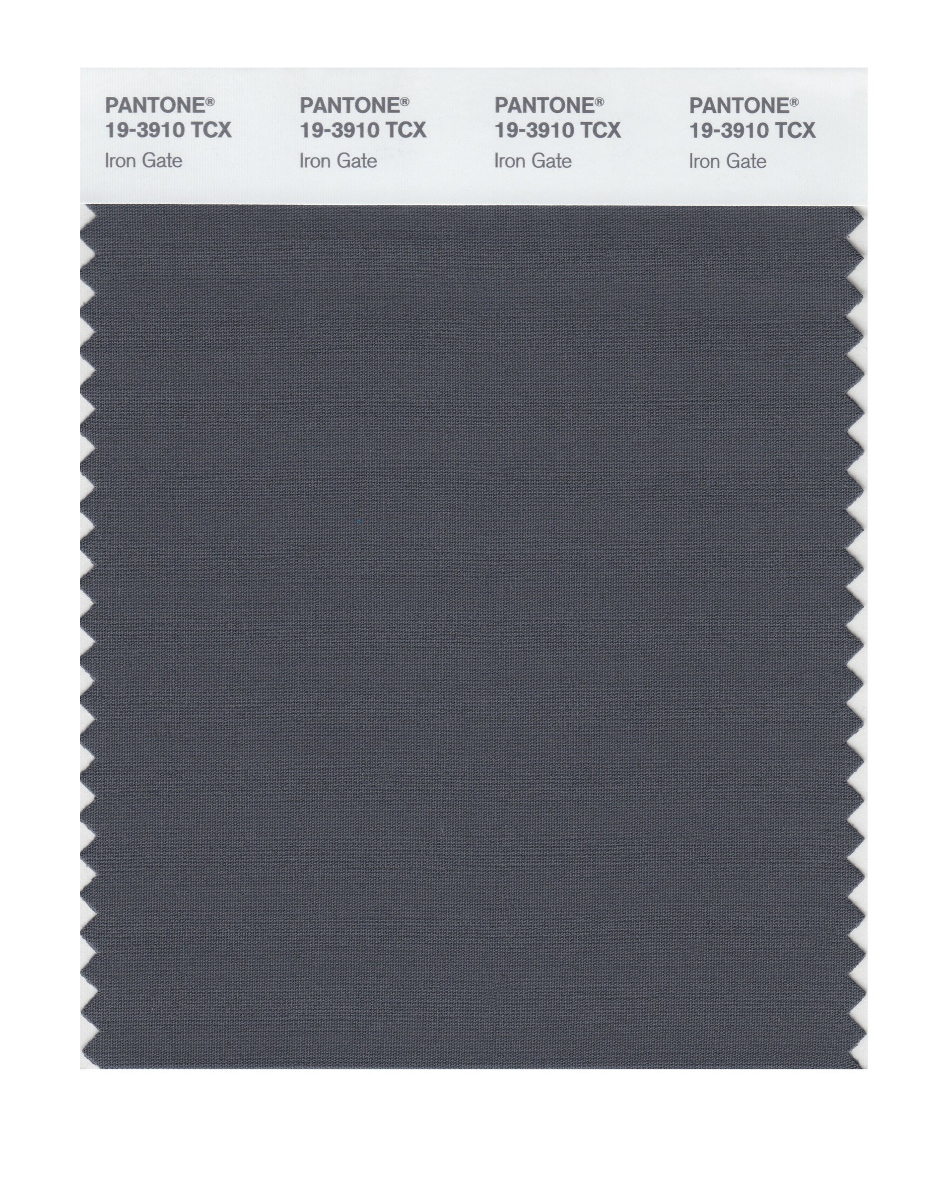 Pantone 19-3910 TCX Smart Color Swatch Card, Iron Gate
