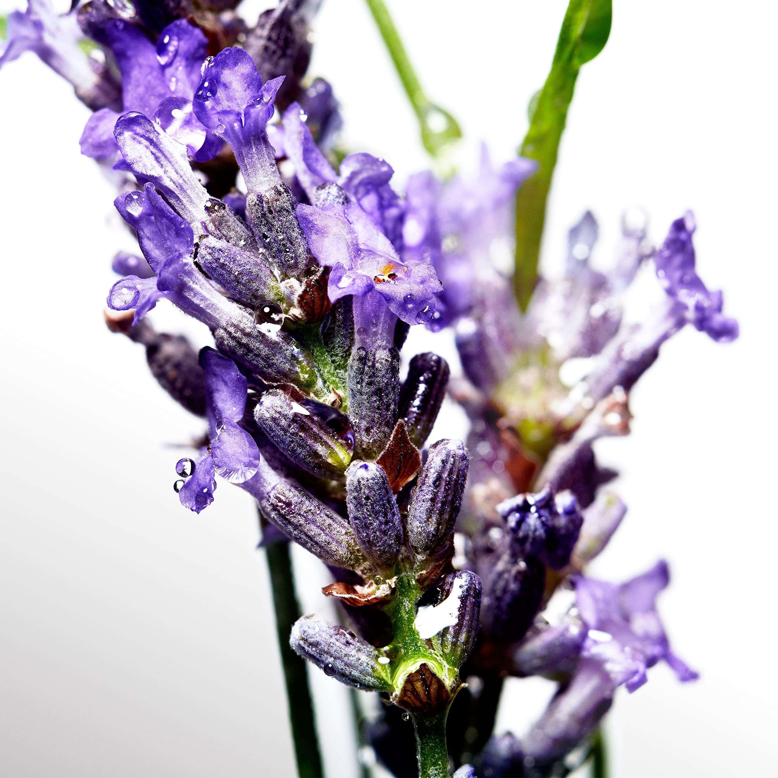 Davidoff Cool Water For Men, Eau De Toilette Spray, Fresh Scent, 125ml (Pack of 2) 6