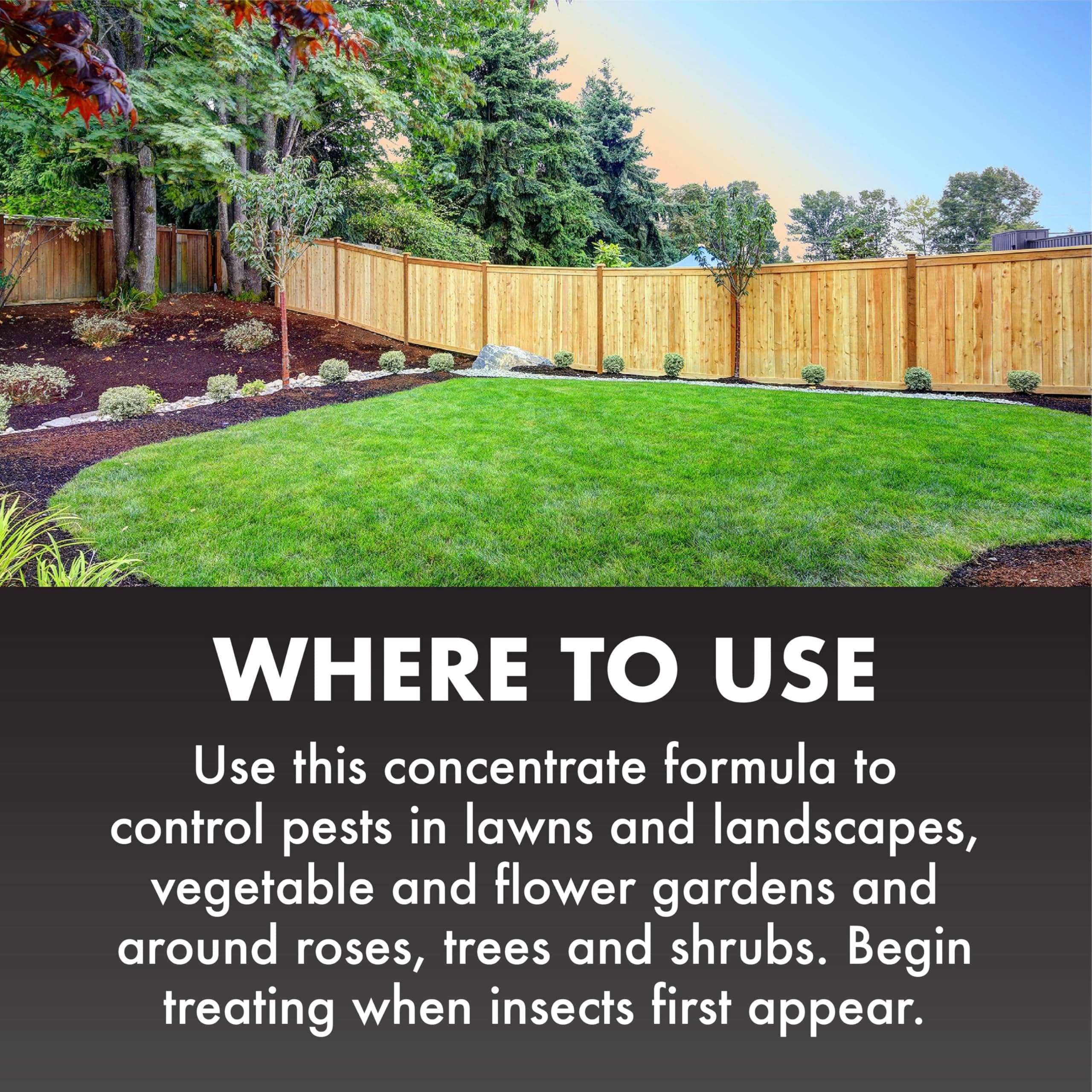 Spectracide Triazicide Insect Killer For Lawns & Landscapes Concentrate (Ready-To-Spray), Protects Lawns, Vegetables, Fruit & Nut Trees, Roses, Flowers & Shrubs, 32 fl Ounce 3